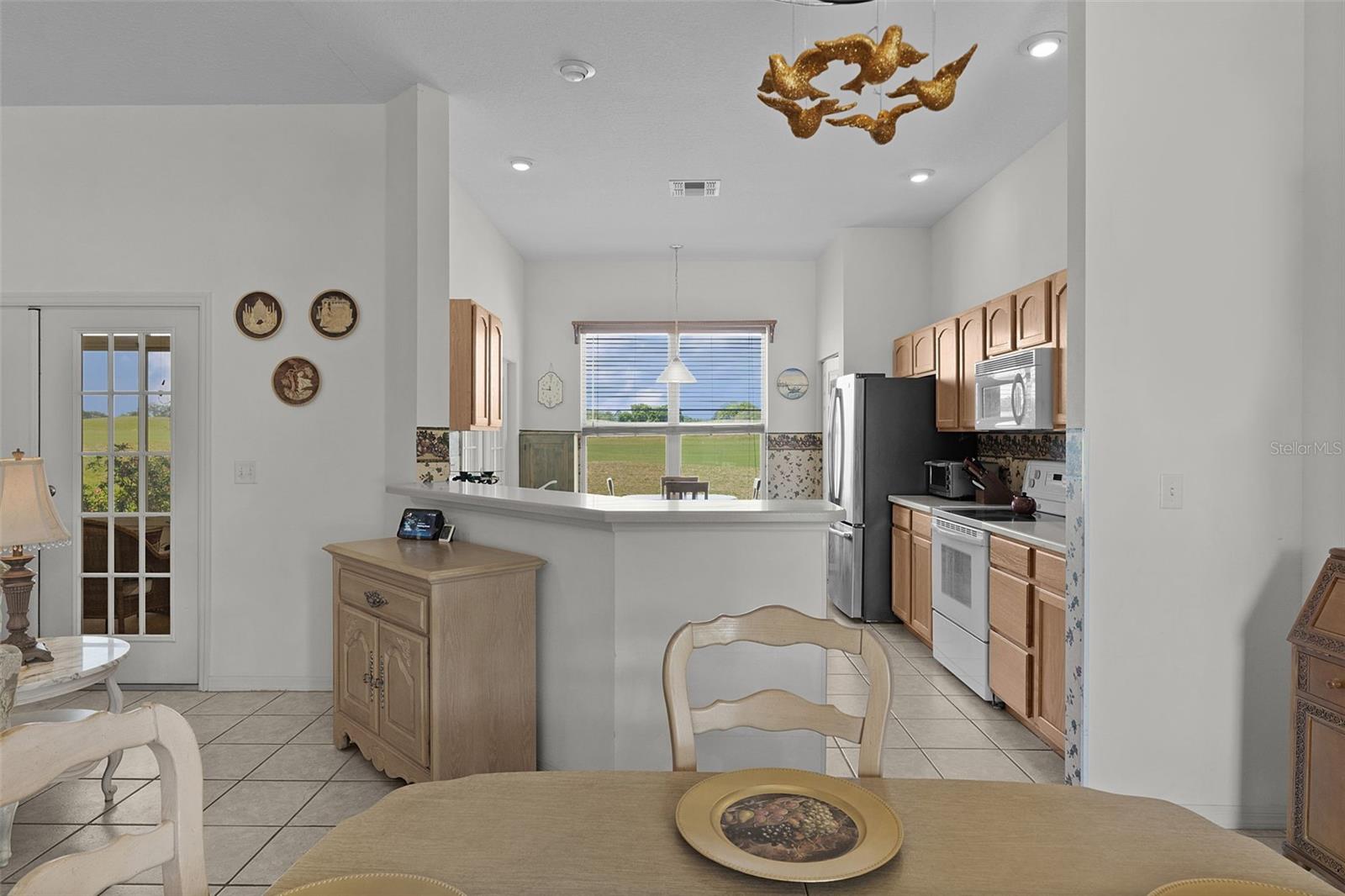 17600 SE 117TH CIR, SUMMERFIELD, FL, 34491