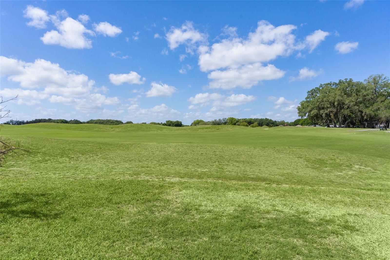 17600 SE 117TH CIR, SUMMERFIELD, FL, 34491