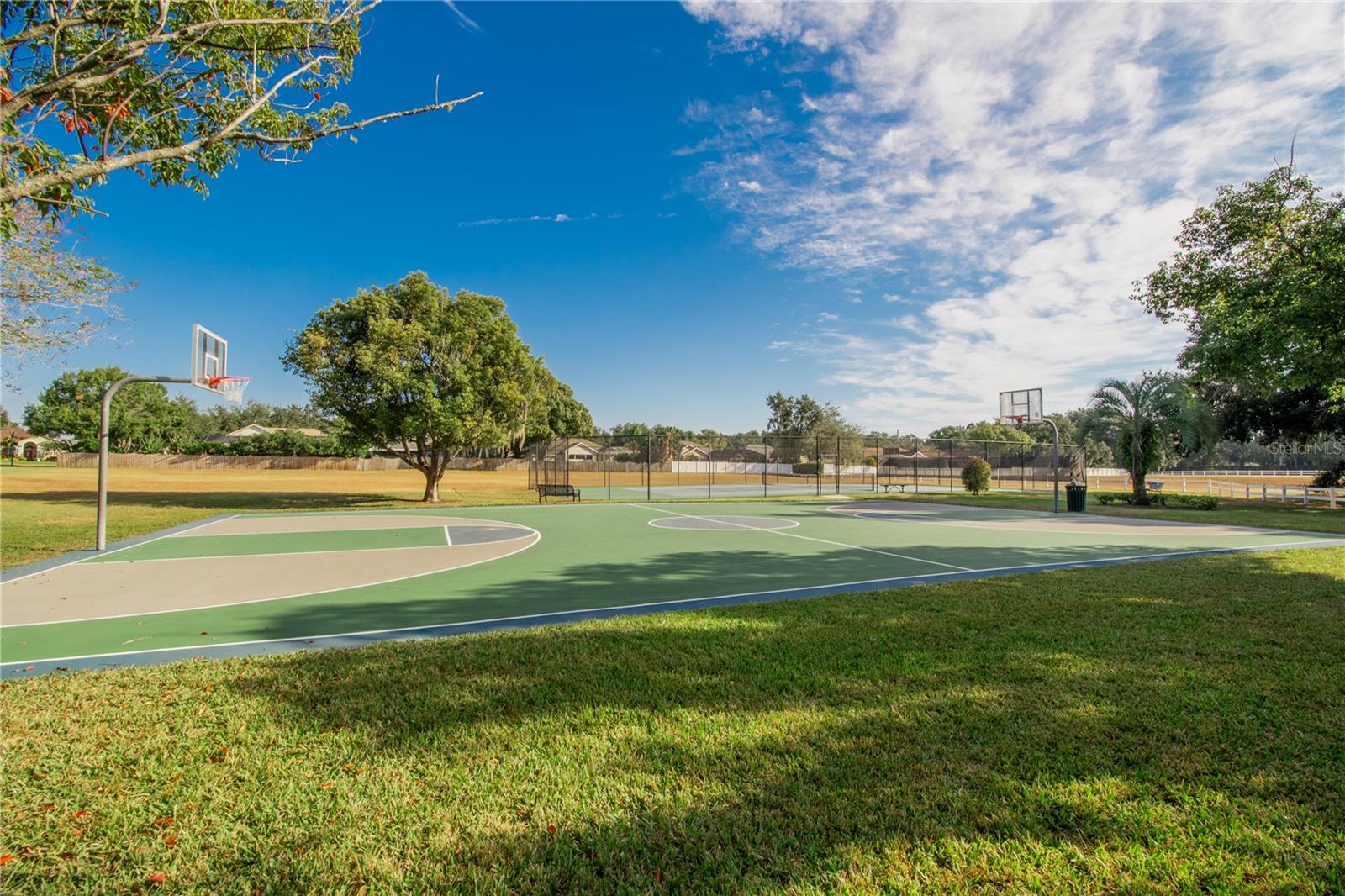 4810 WATER LARK WAY, VALRICO, FL, 33596