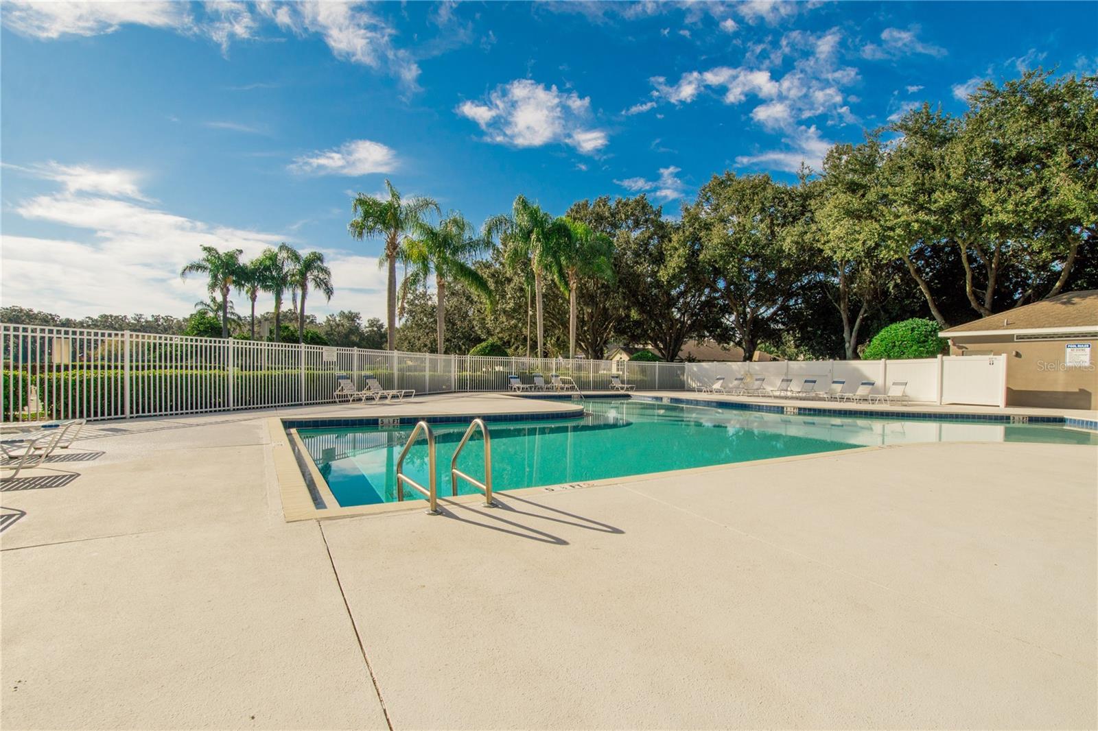 4810 WATER LARK WAY, VALRICO, FL, 33596