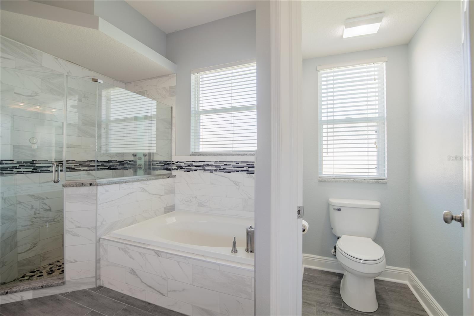 4810 WATER LARK WAY, VALRICO, FL, 33596