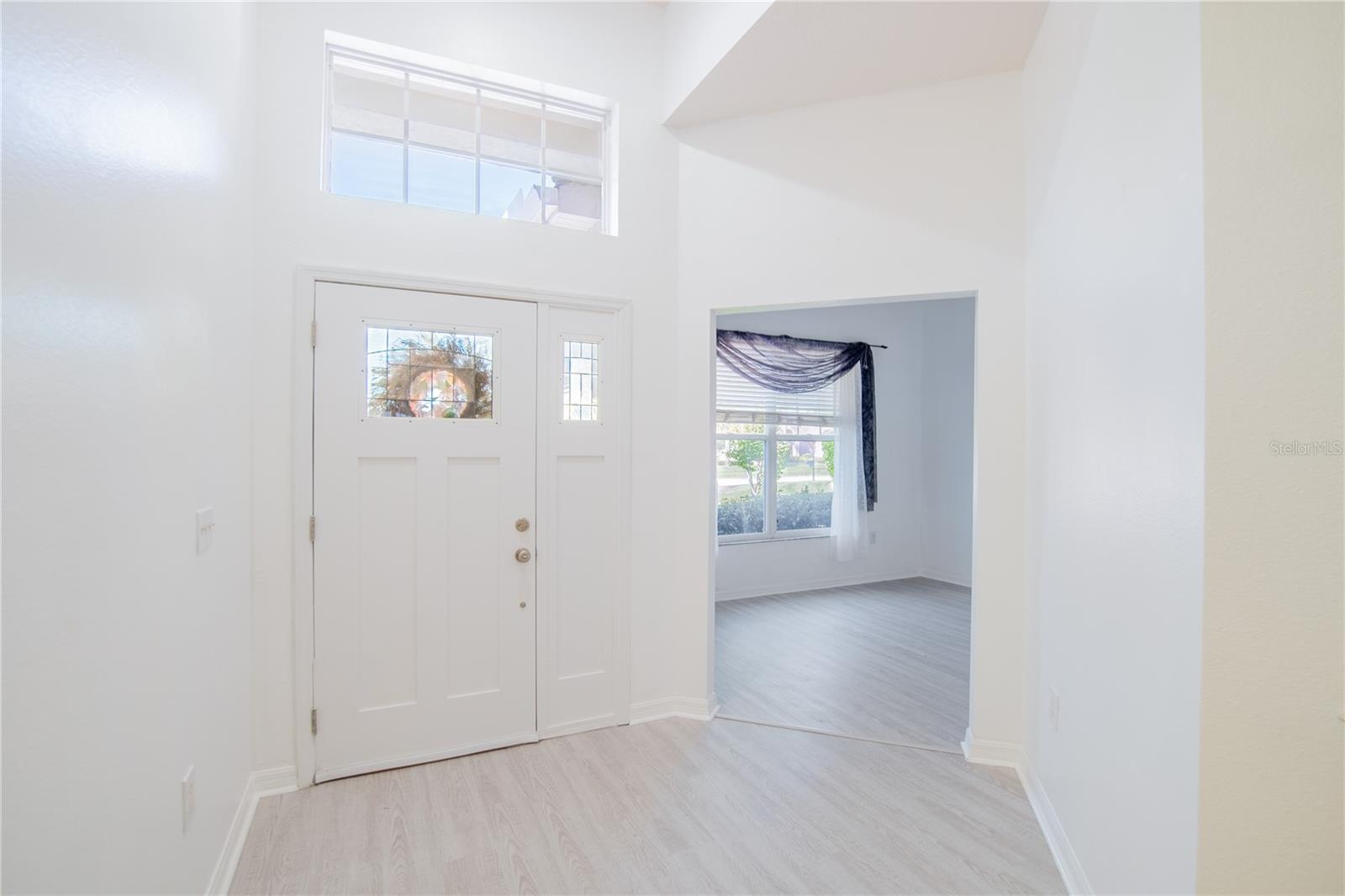 4810 WATER LARK WAY, VALRICO, FL, 33596