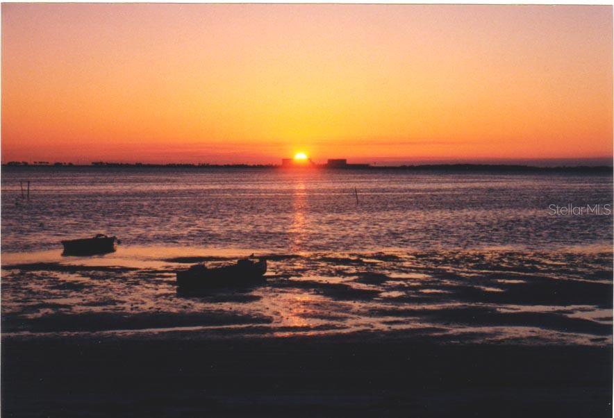 2700 BAYSHORE BLVD #1308, DUNEDIN, FL, 34698