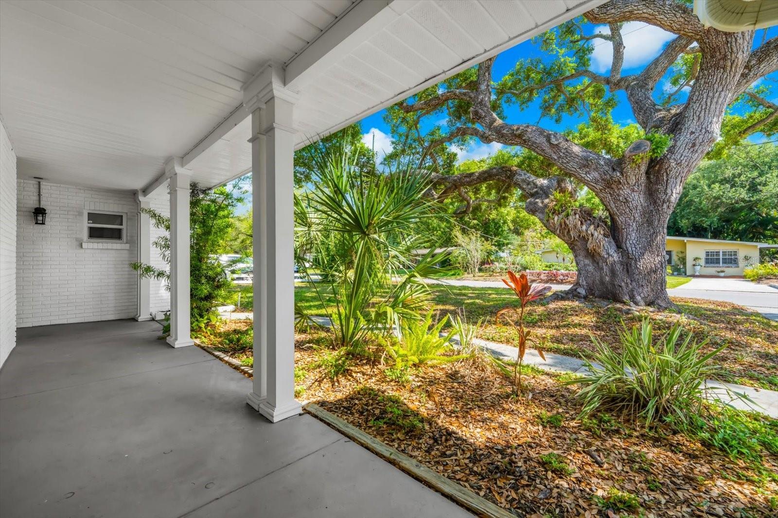 3315 W BEAUMONT ST, TAMPA, FL, 33611