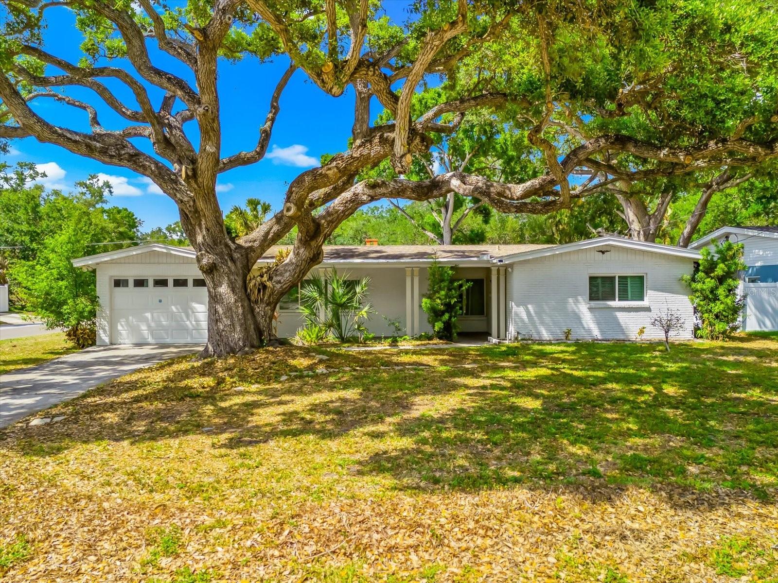 3315 W BEAUMONT ST, TAMPA, FL, 33611