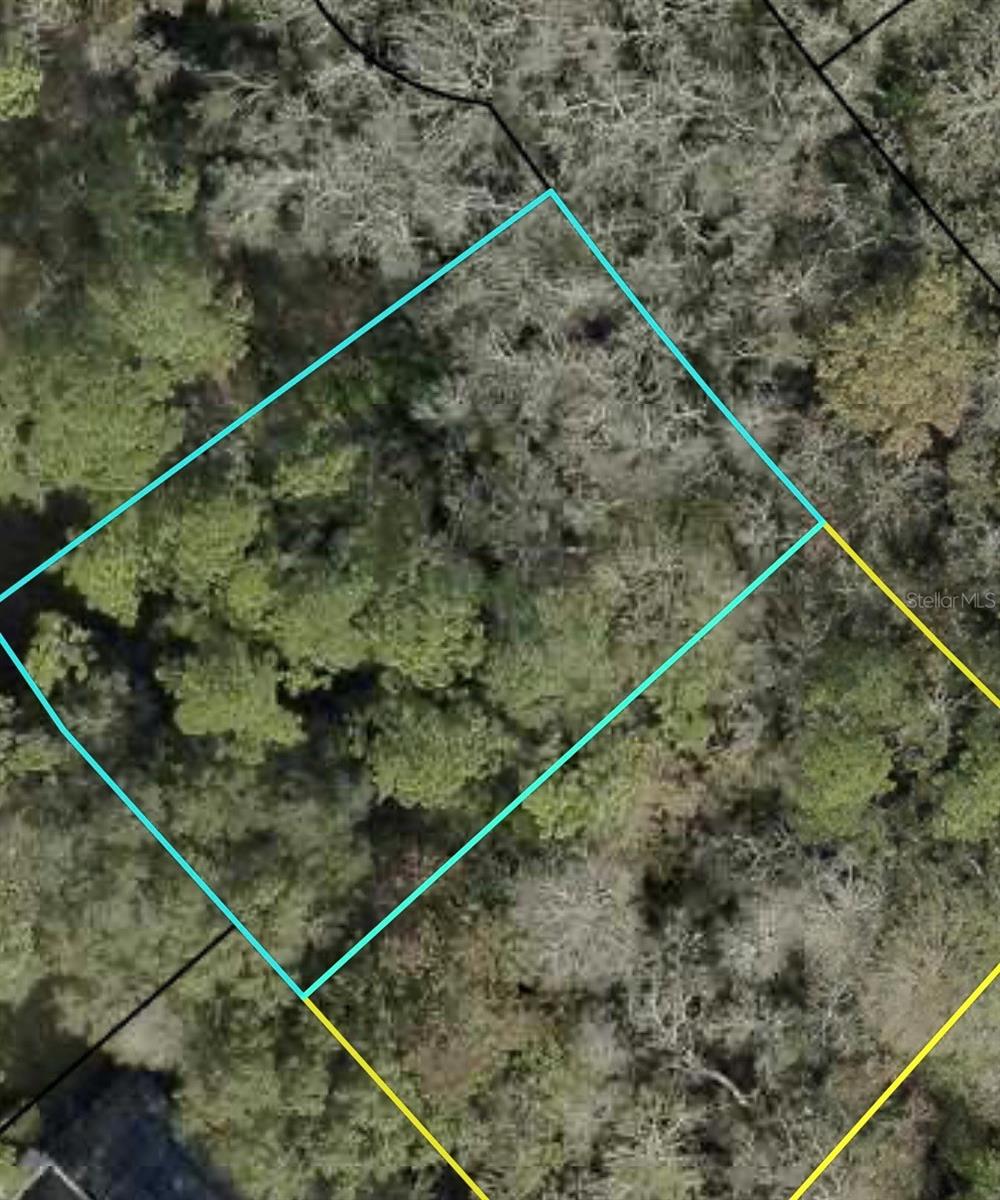 XXX Z SECTION DROP LOT, PALM COAST, FL, 32164