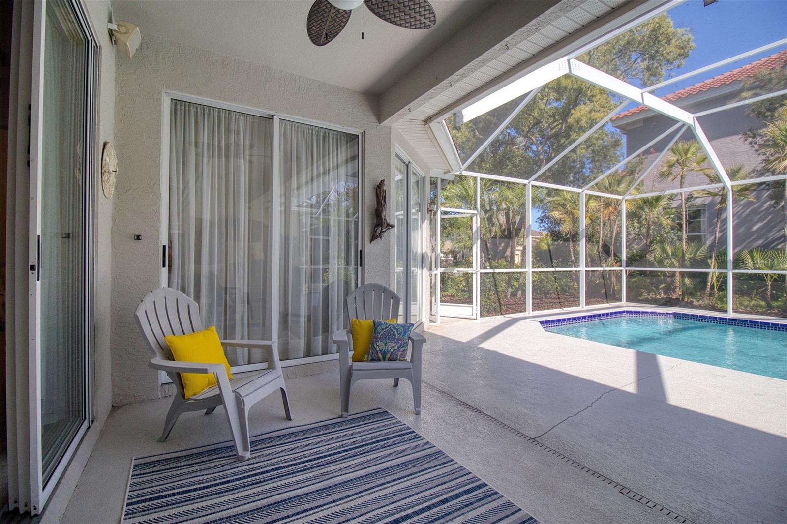 2206 HIGHLAND WOODS DR, DUNEDIN, FL, 34698