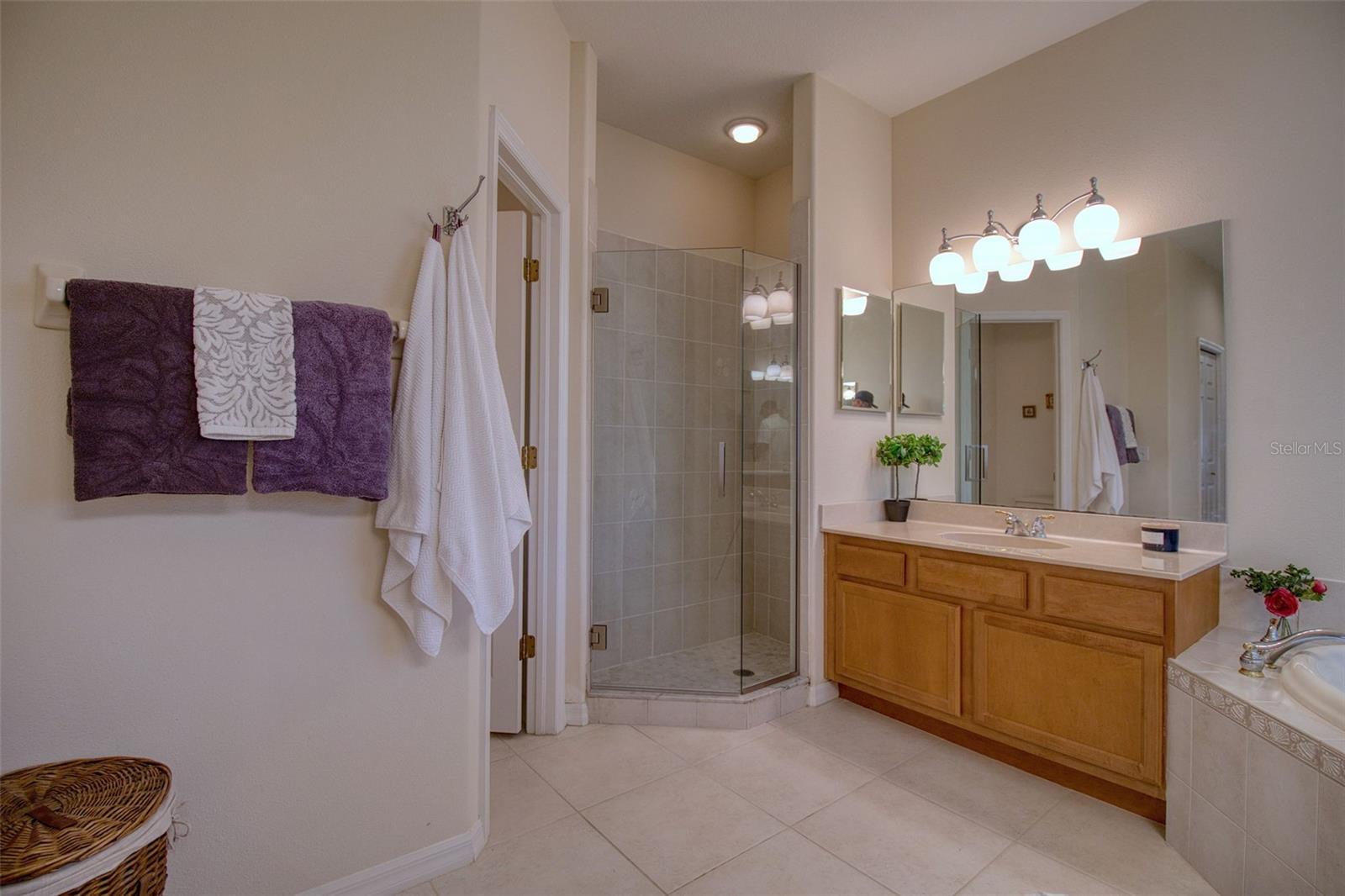 2206 HIGHLAND WOODS DR, DUNEDIN, FL, 34698