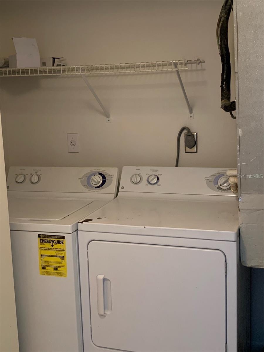 12403 HIBISCUS OAK PL #202, TAMPA, FL, 33612