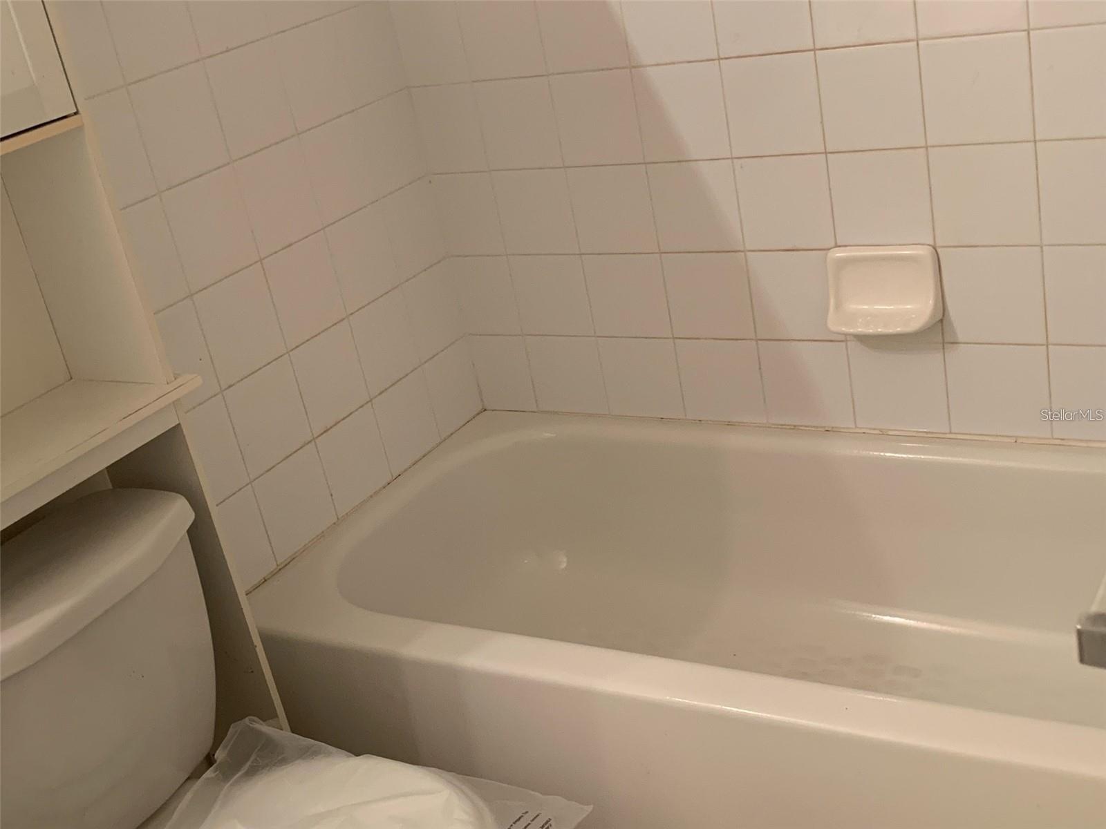 12403 HIBISCUS OAK PL #202, TAMPA, FL, 33612