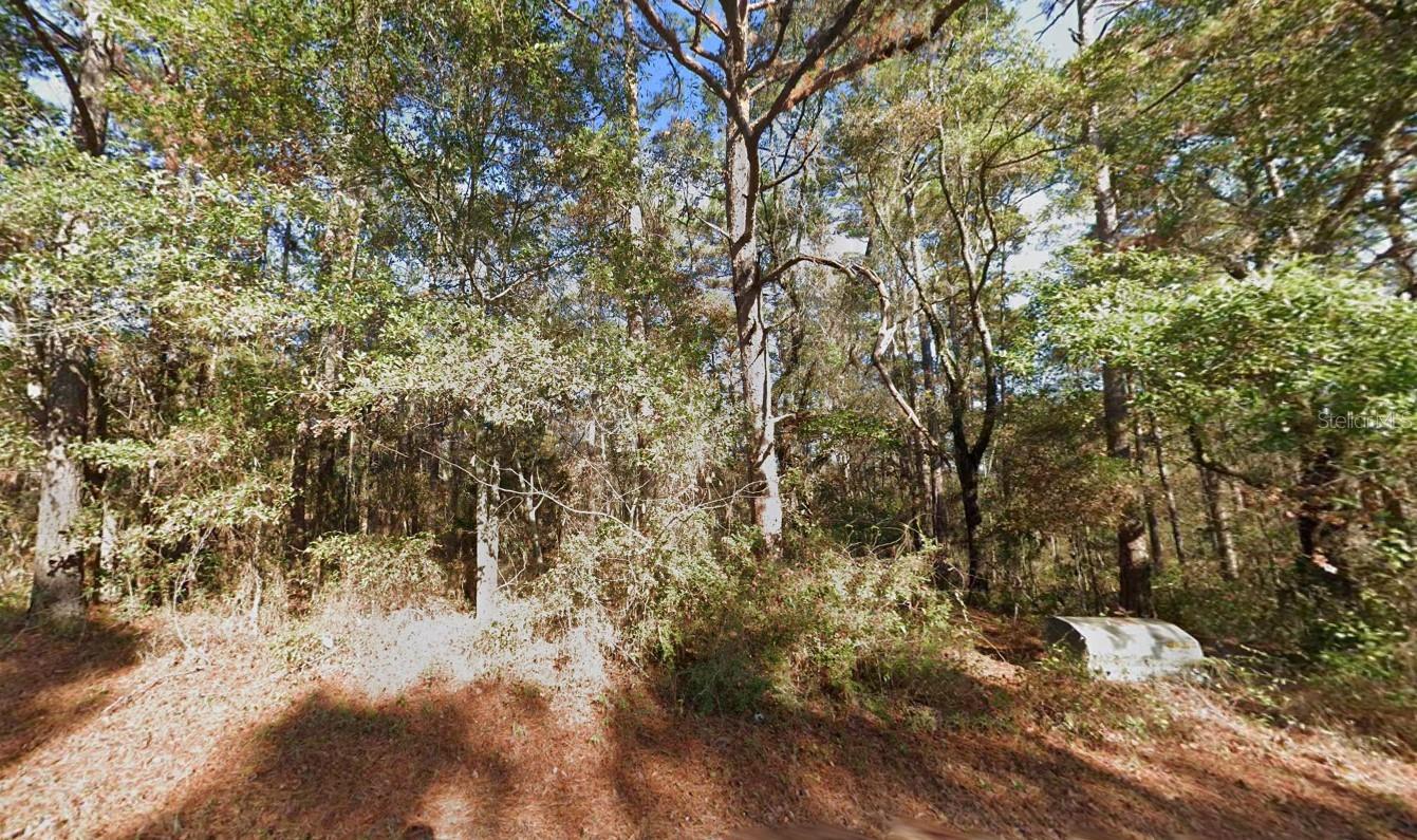 8502 SCOTT TOWER RD, TALLAHASSEE, FL, 32312