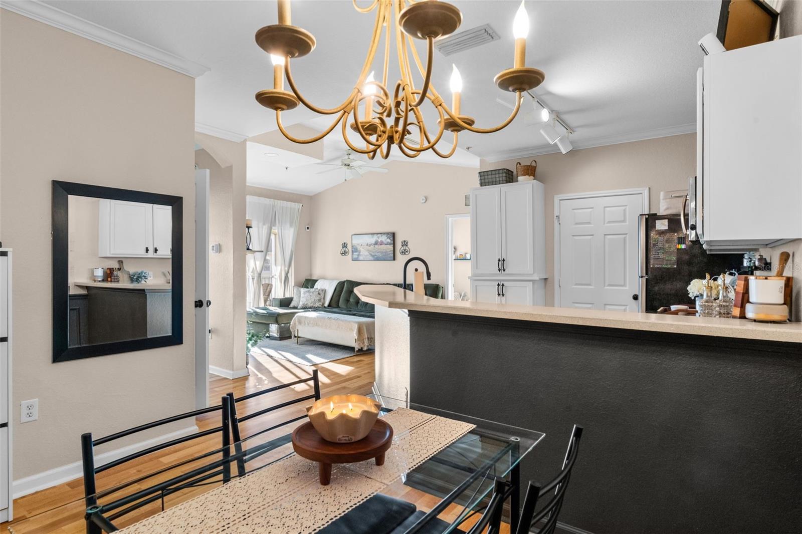 245 OLD VILLAGE CENTER CIR #7309, ST AUGUSTINE, FL, 32084