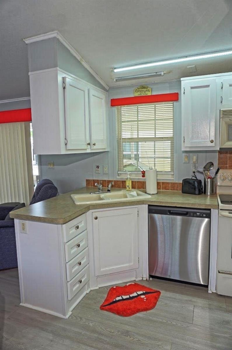 21183 LAZY DAYS CIR, LUTZ, FL, 33558