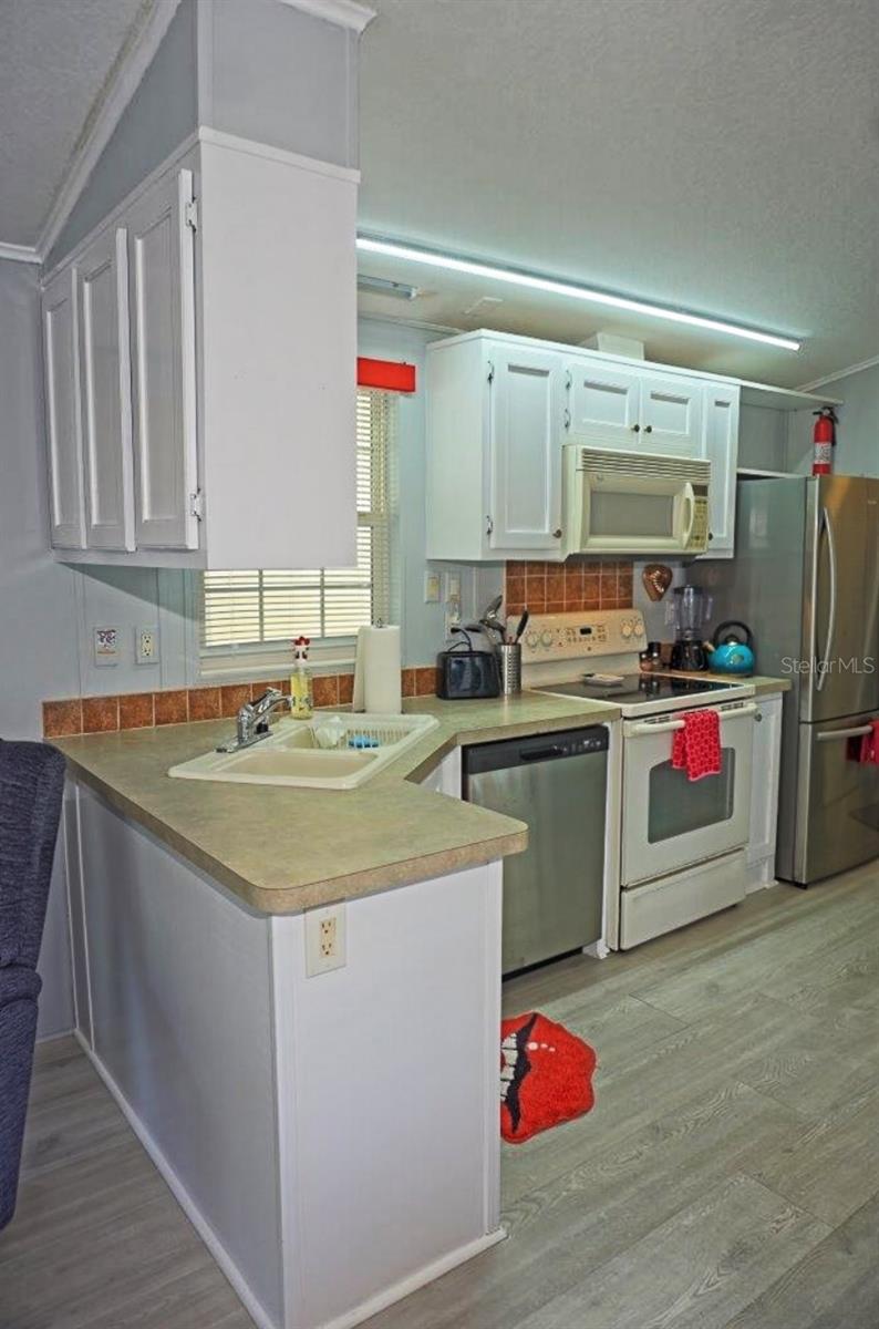 21183 LAZY DAYS CIR, LUTZ, FL, 33558