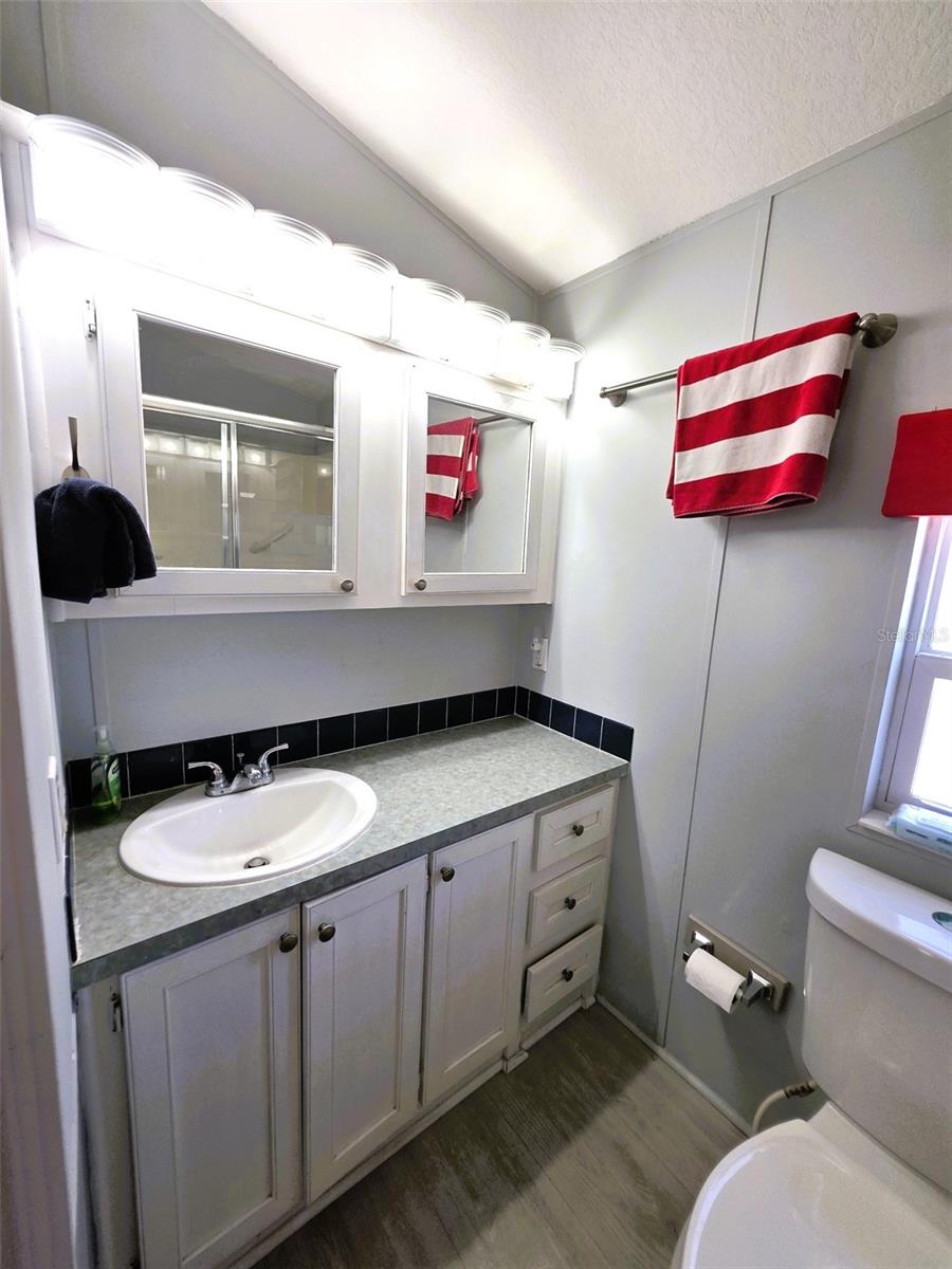 21183 LAZY DAYS CIR, LUTZ, FL, 33558