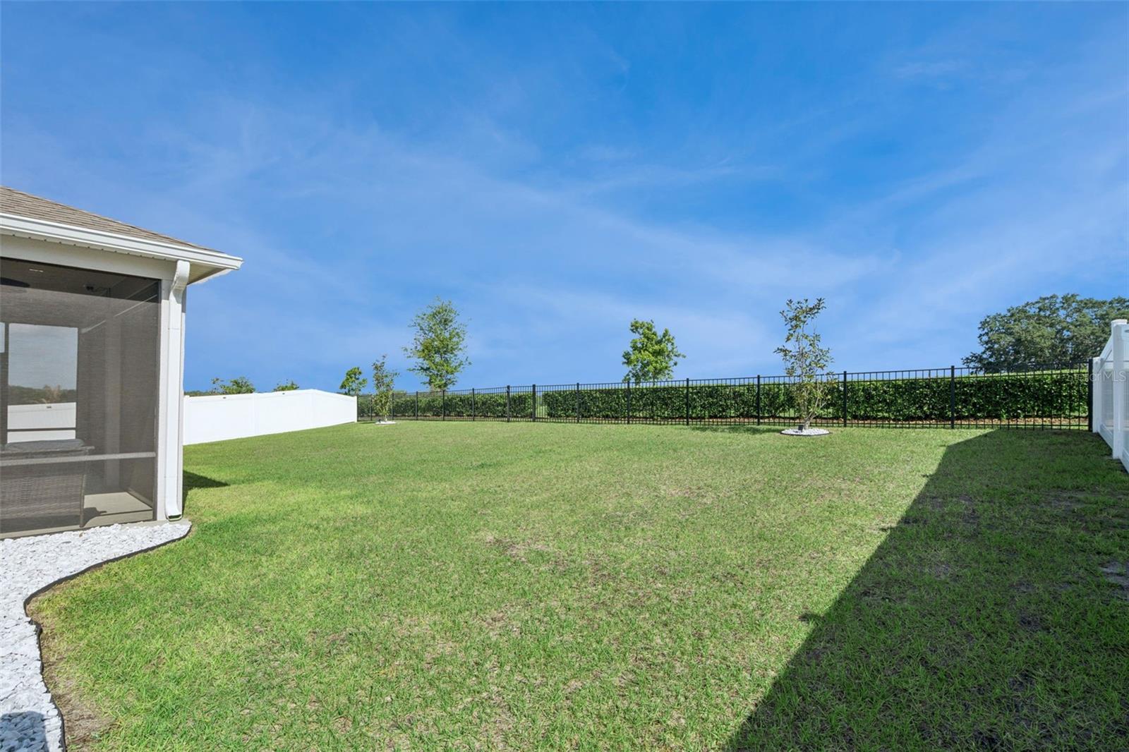 1682 LITTLELEAF BOXWOOD LOOP, MASCOTTE, FL, 34753