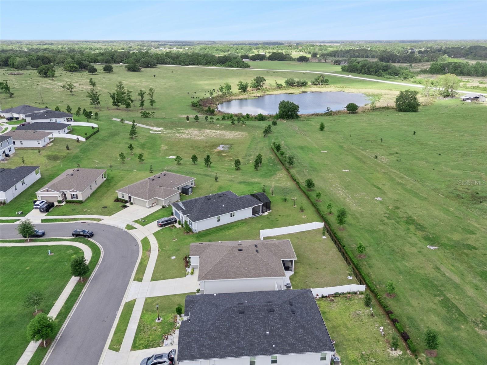 1682 LITTLELEAF BOXWOOD LOOP, MASCOTTE, FL, 34753