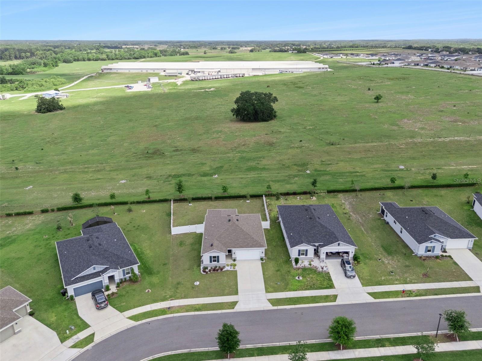 1682 LITTLELEAF BOXWOOD LOOP, MASCOTTE, FL, 34753