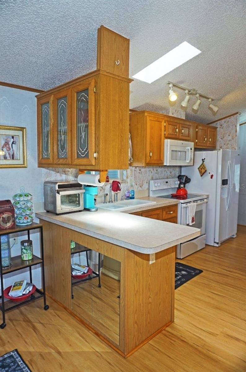 21145 LAZY DAYS CIR, LUTZ, FL, 33558