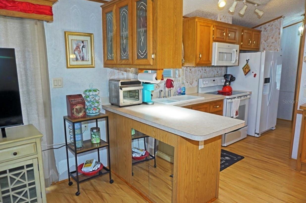 21145 LAZY DAYS CIR, LUTZ, FL, 33558