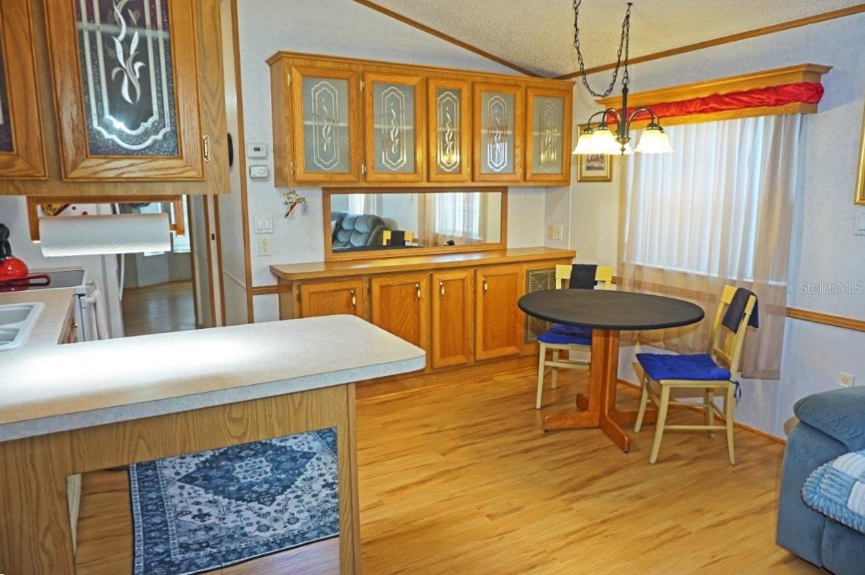 21145 LAZY DAYS CIR, LUTZ, FL, 33558