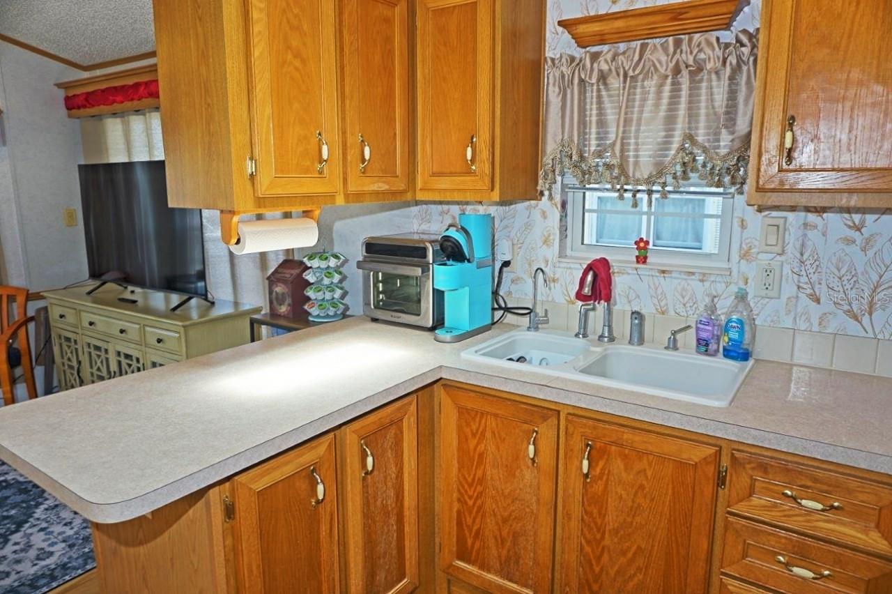 21145 LAZY DAYS CIR, LUTZ, FL, 33558