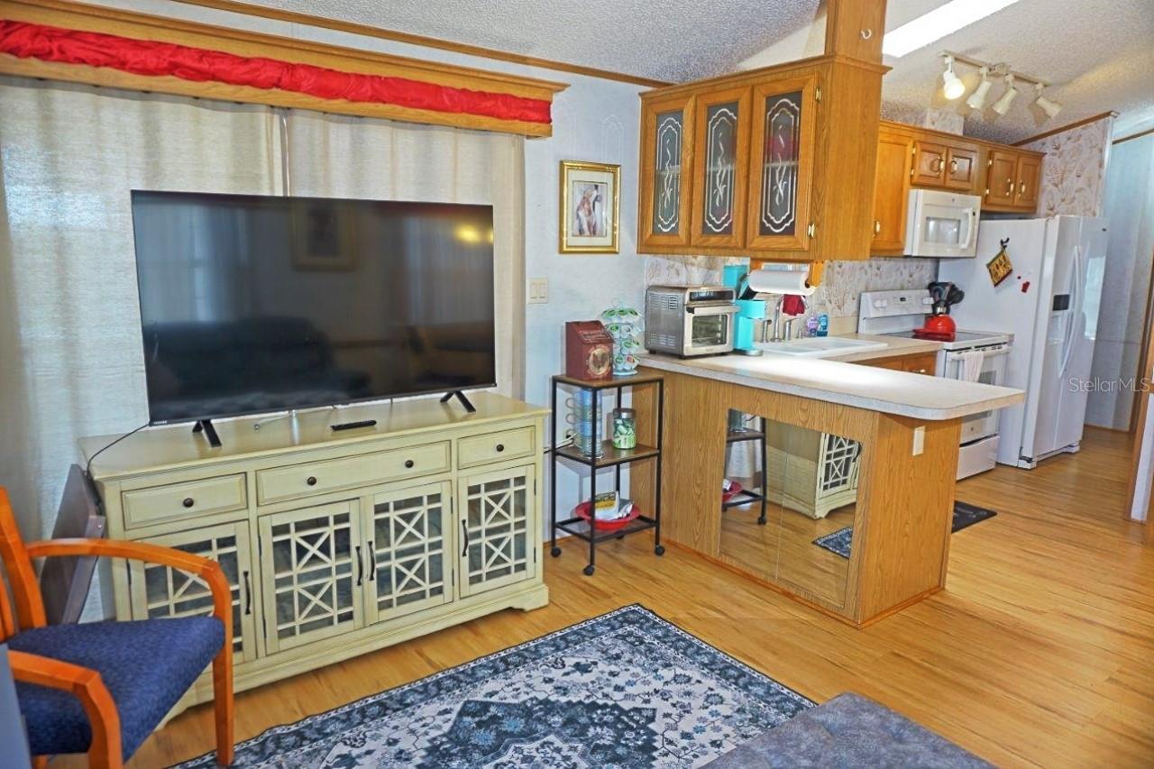 21145 LAZY DAYS CIR, LUTZ, FL, 33558