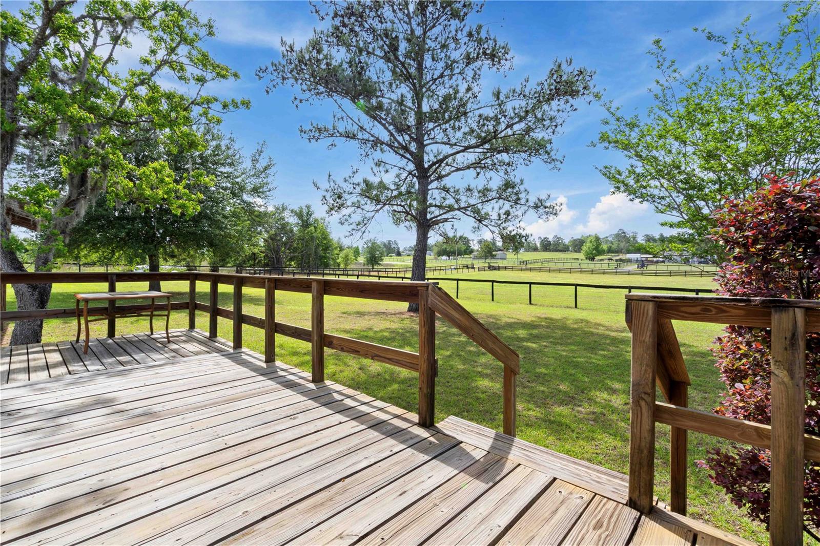 14491 SE 68TH LN, MORRISTON, FL, 32668