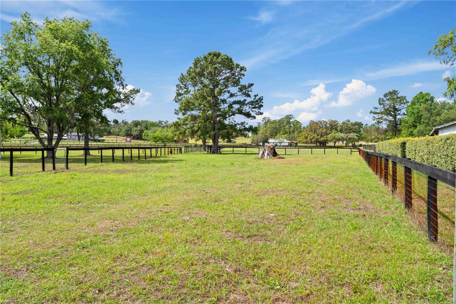 14491 SE 68TH LN, MORRISTON, FL, 32668