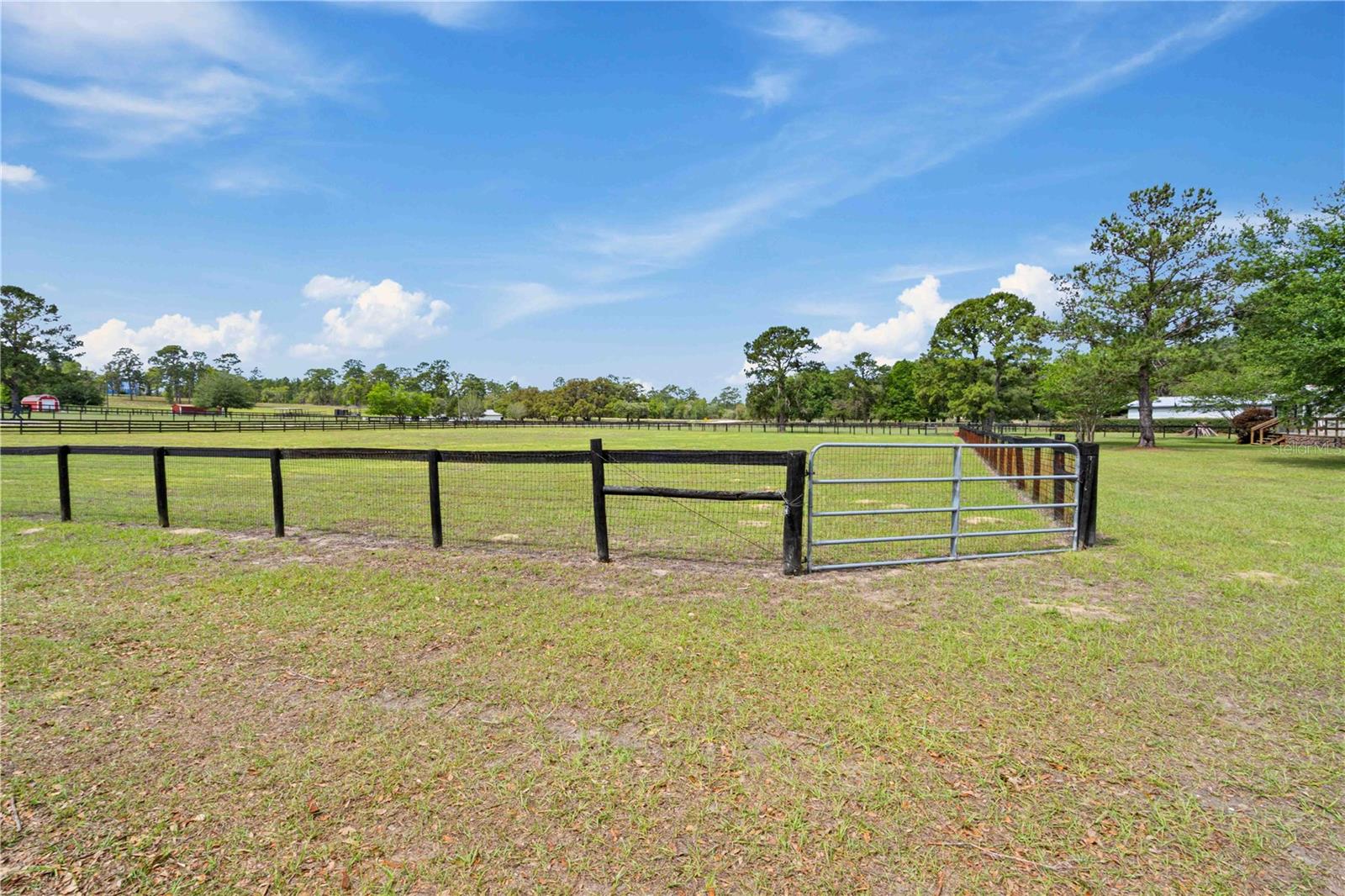 14491 SE 68TH LN, MORRISTON, FL, 32668