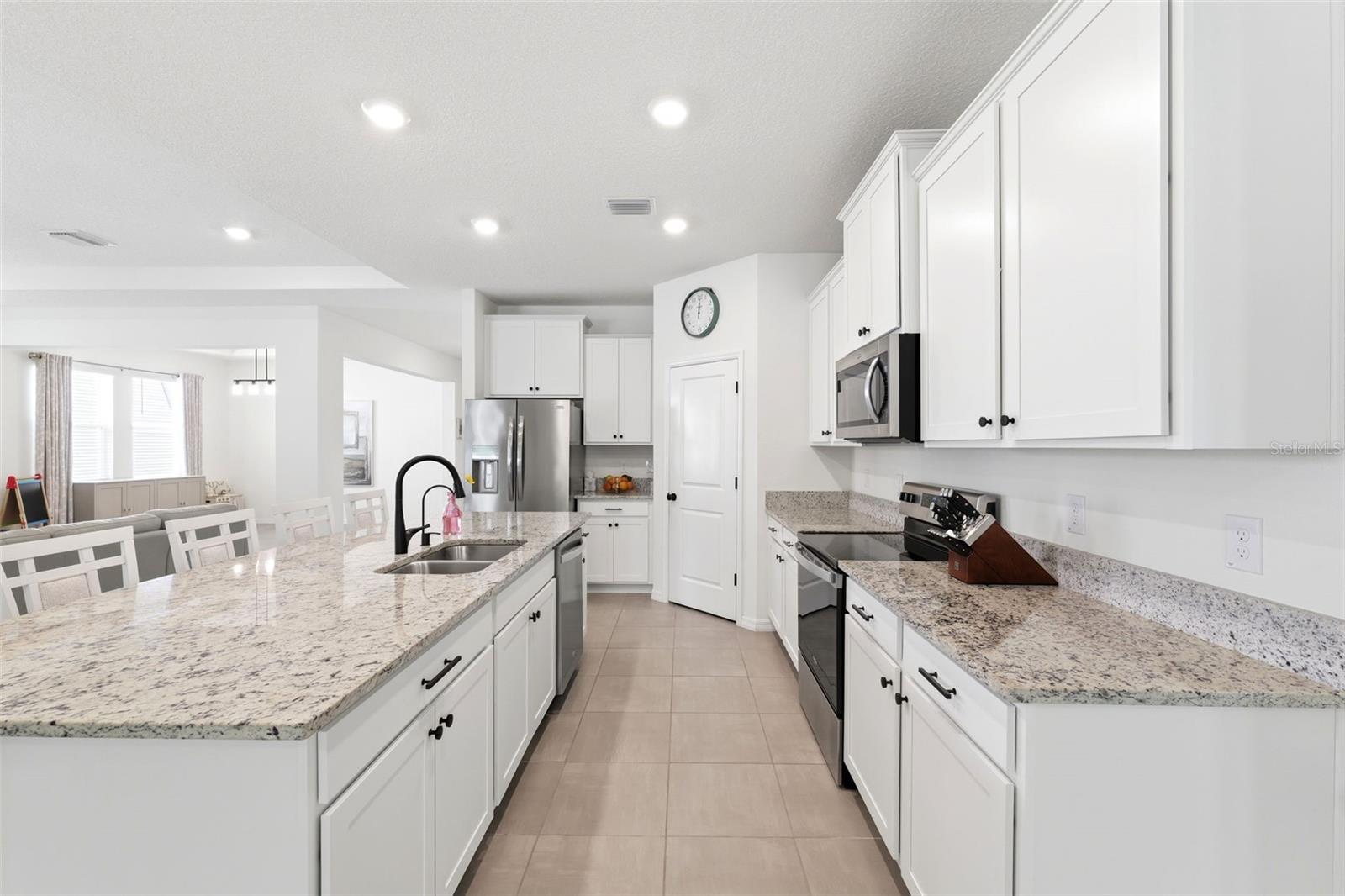 3787 AUTUMN AMBER DR, SPRING HILL, FL, 34609