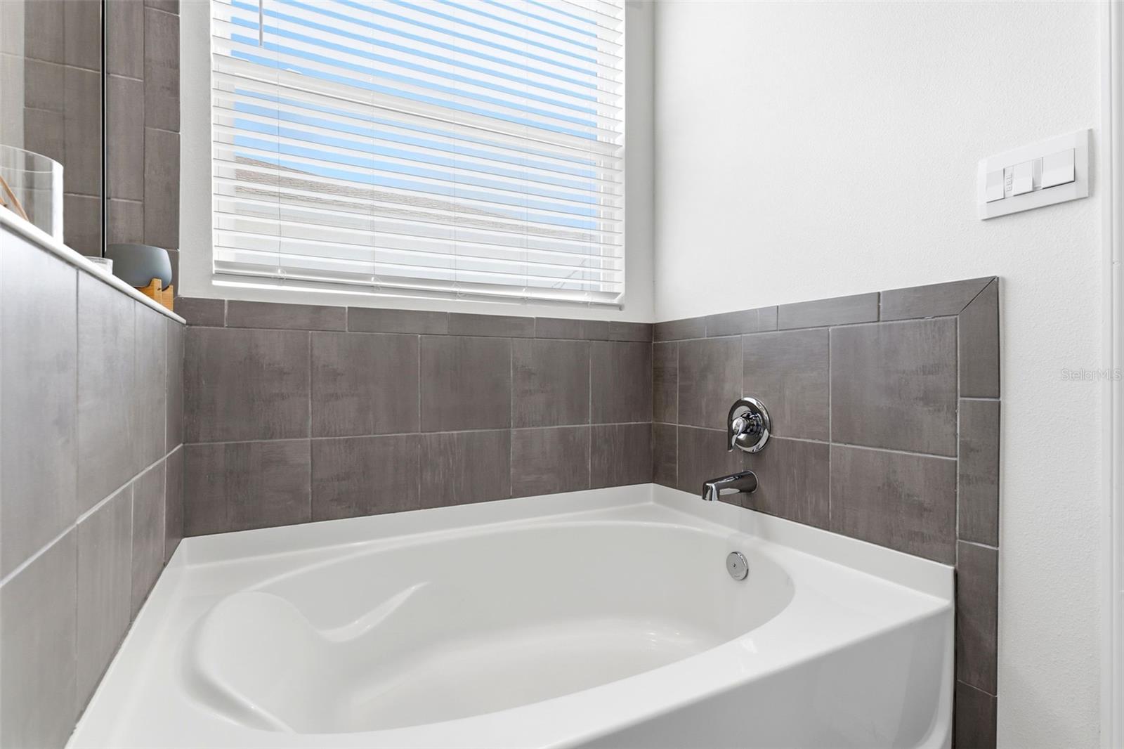 3787 AUTUMN AMBER DR, SPRING HILL, FL, 34609