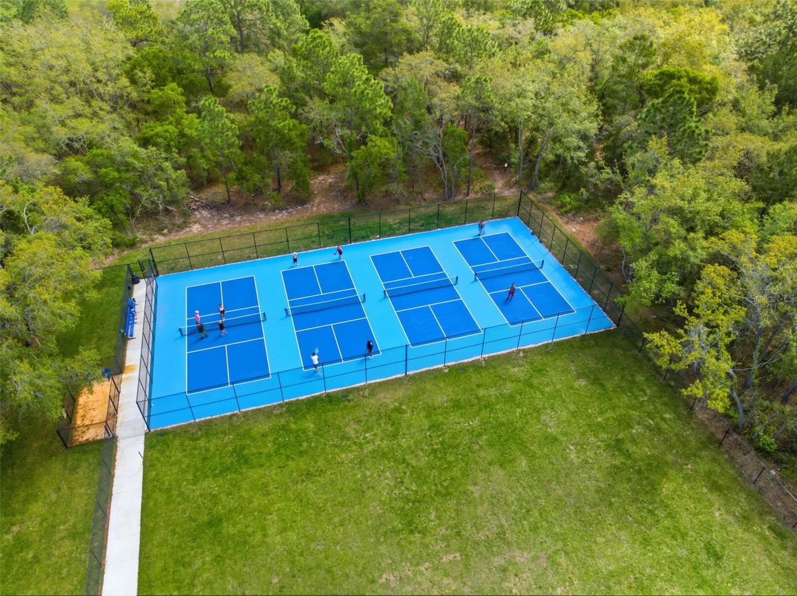 3787 AUTUMN AMBER DR, SPRING HILL, FL, 34609