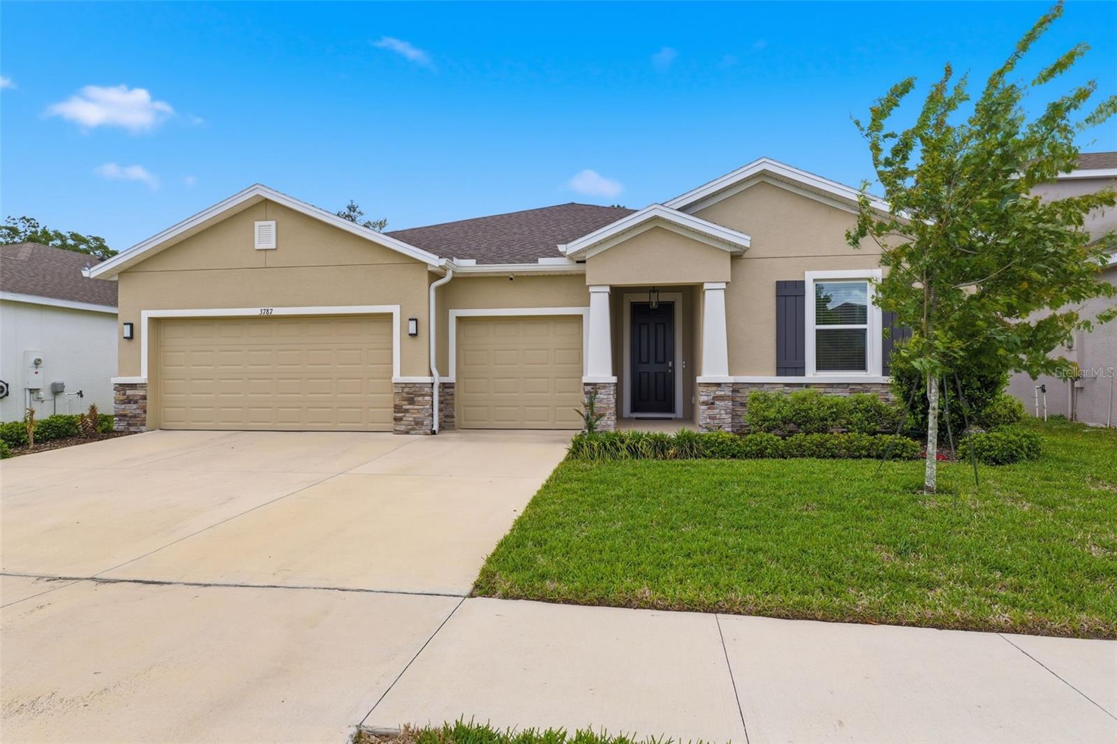 3787 AUTUMN AMBER DR, SPRING HILL, FL, 34609
