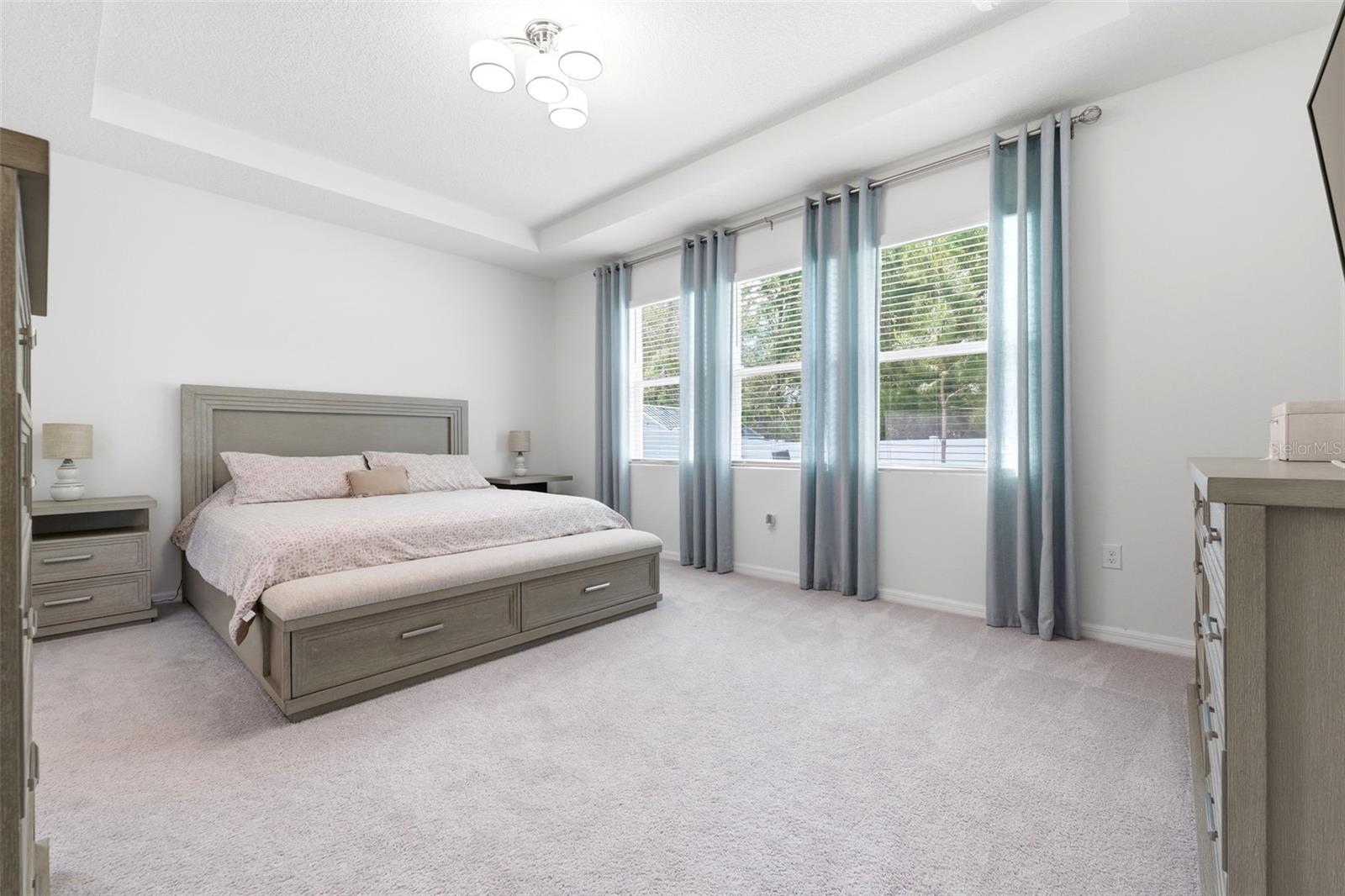 3787 AUTUMN AMBER DR, SPRING HILL, FL, 34609