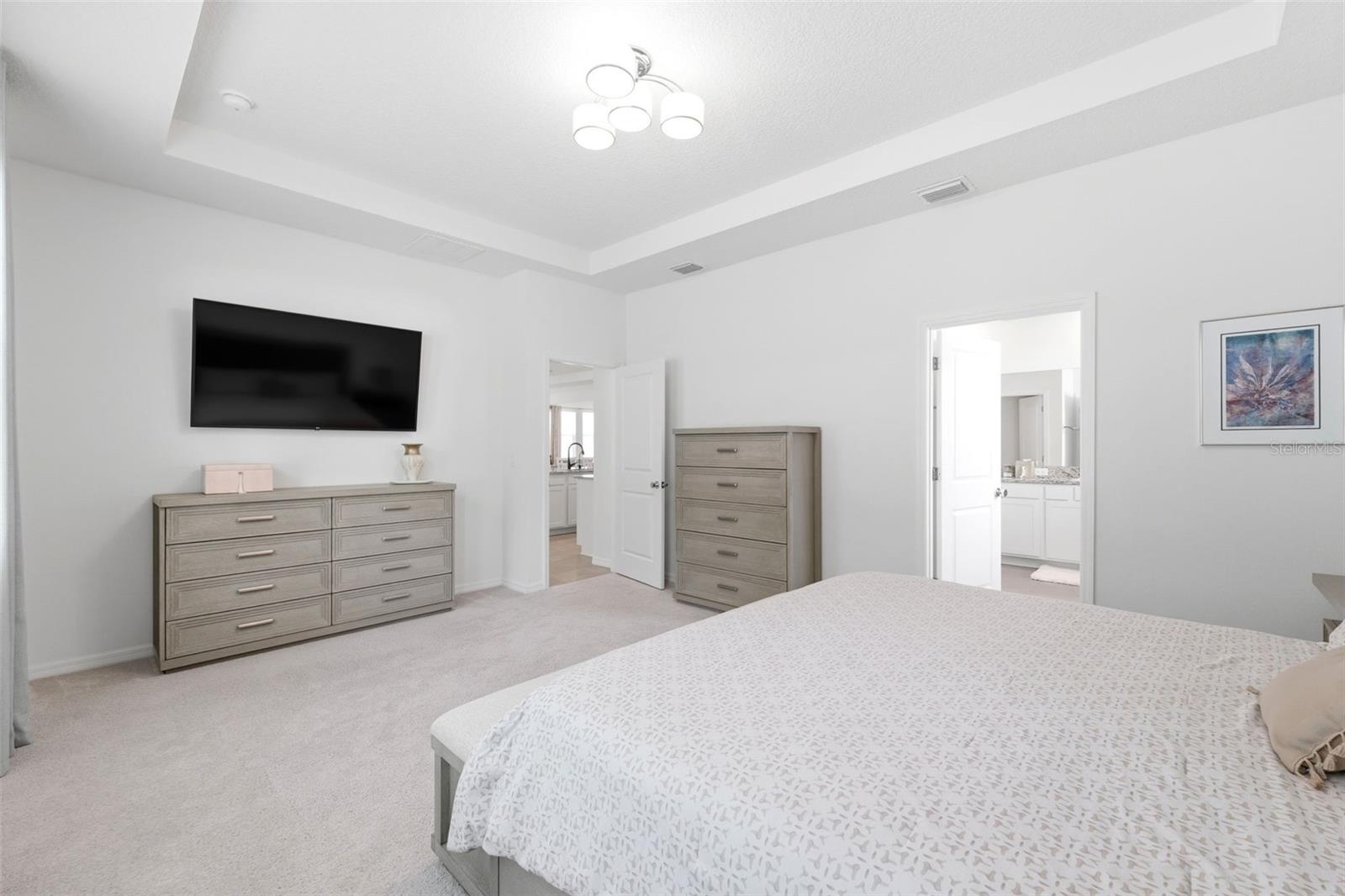 3787 AUTUMN AMBER DR, SPRING HILL, FL, 34609