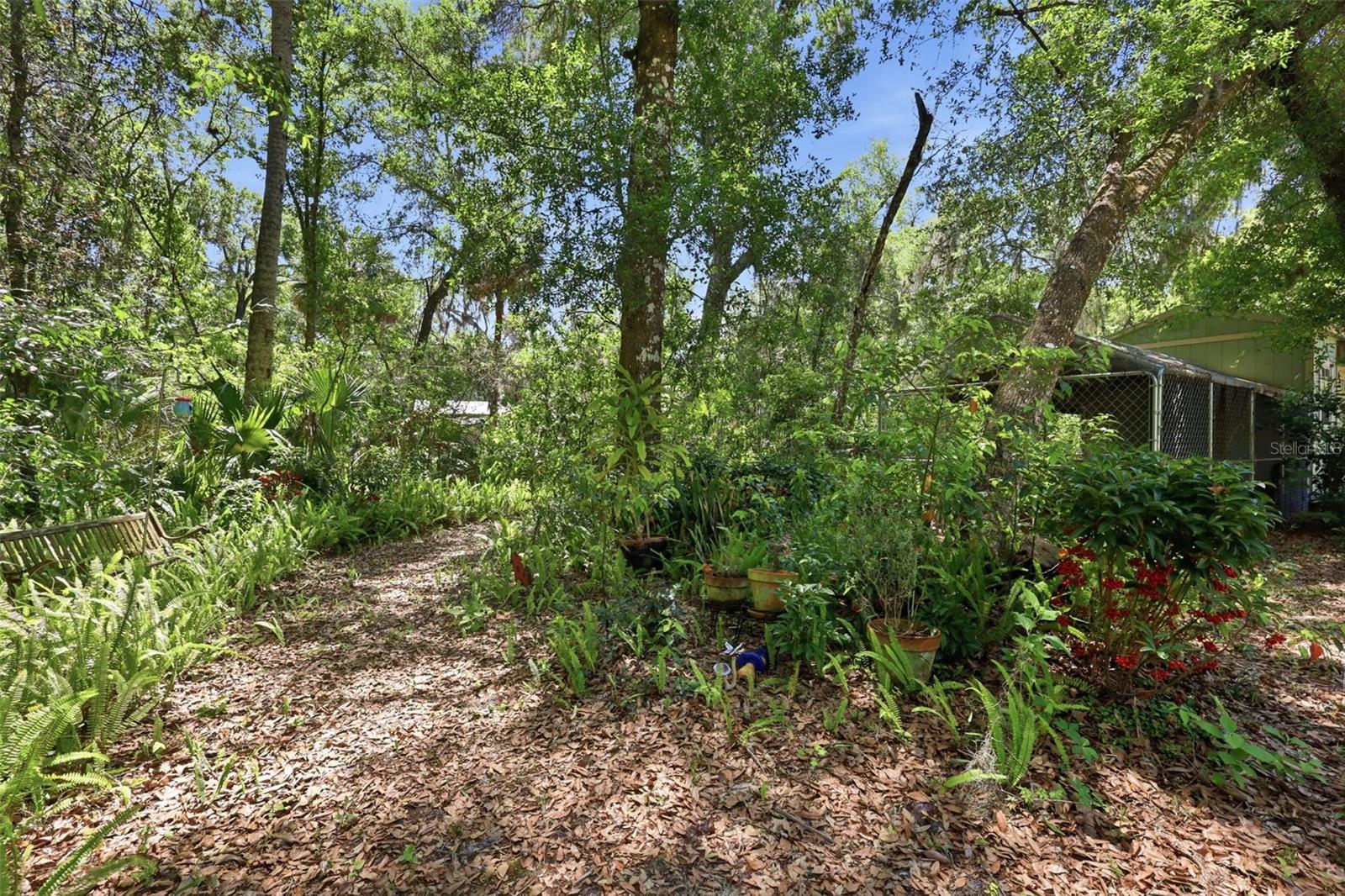 1925 PINE CT, DELAND, FL, 32720