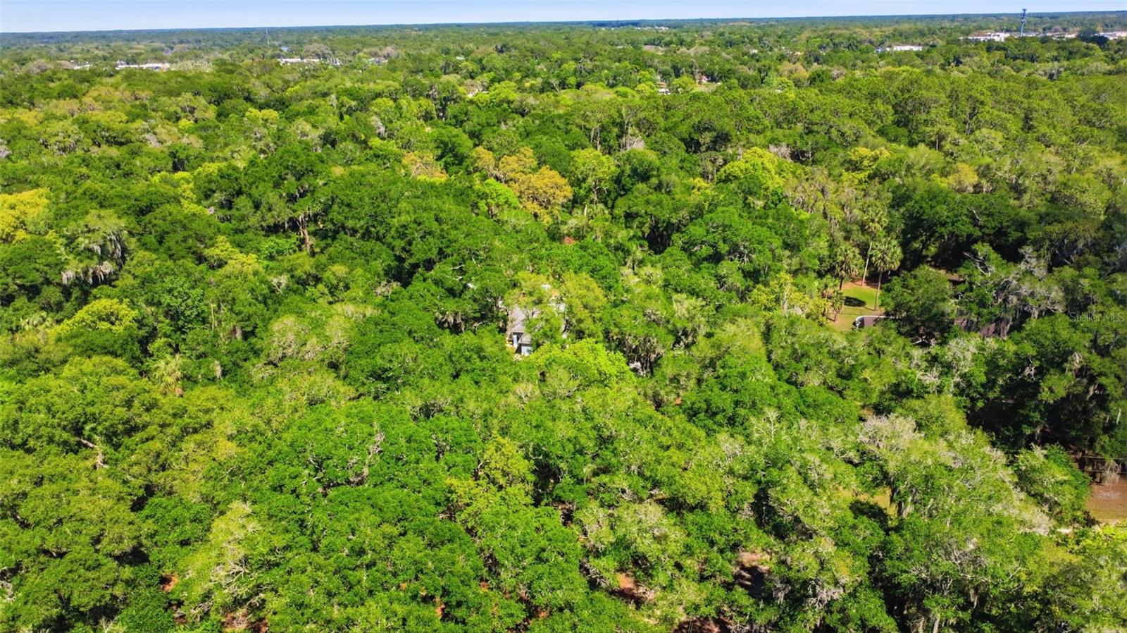 1925 PINE CT, DELAND, FL, 32720