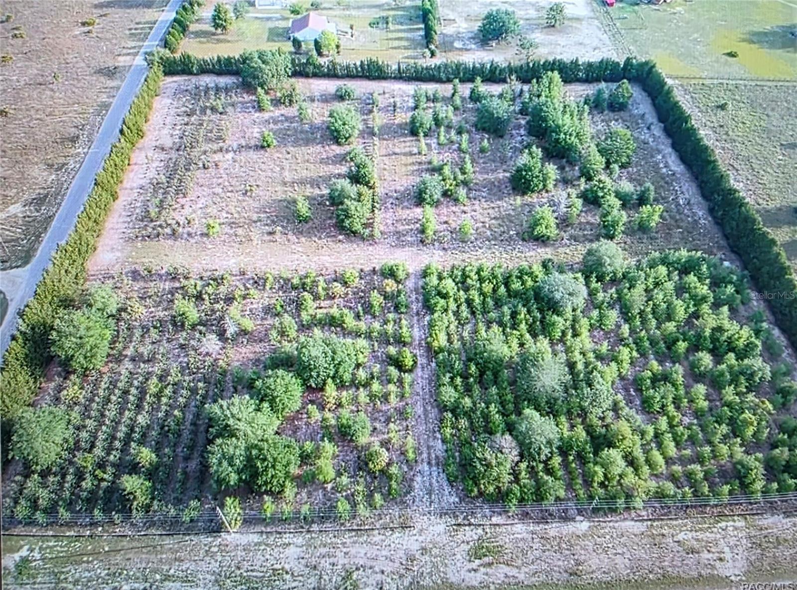 6719 S GEORGIAN RD, HOMOSASSA, FL, 34446