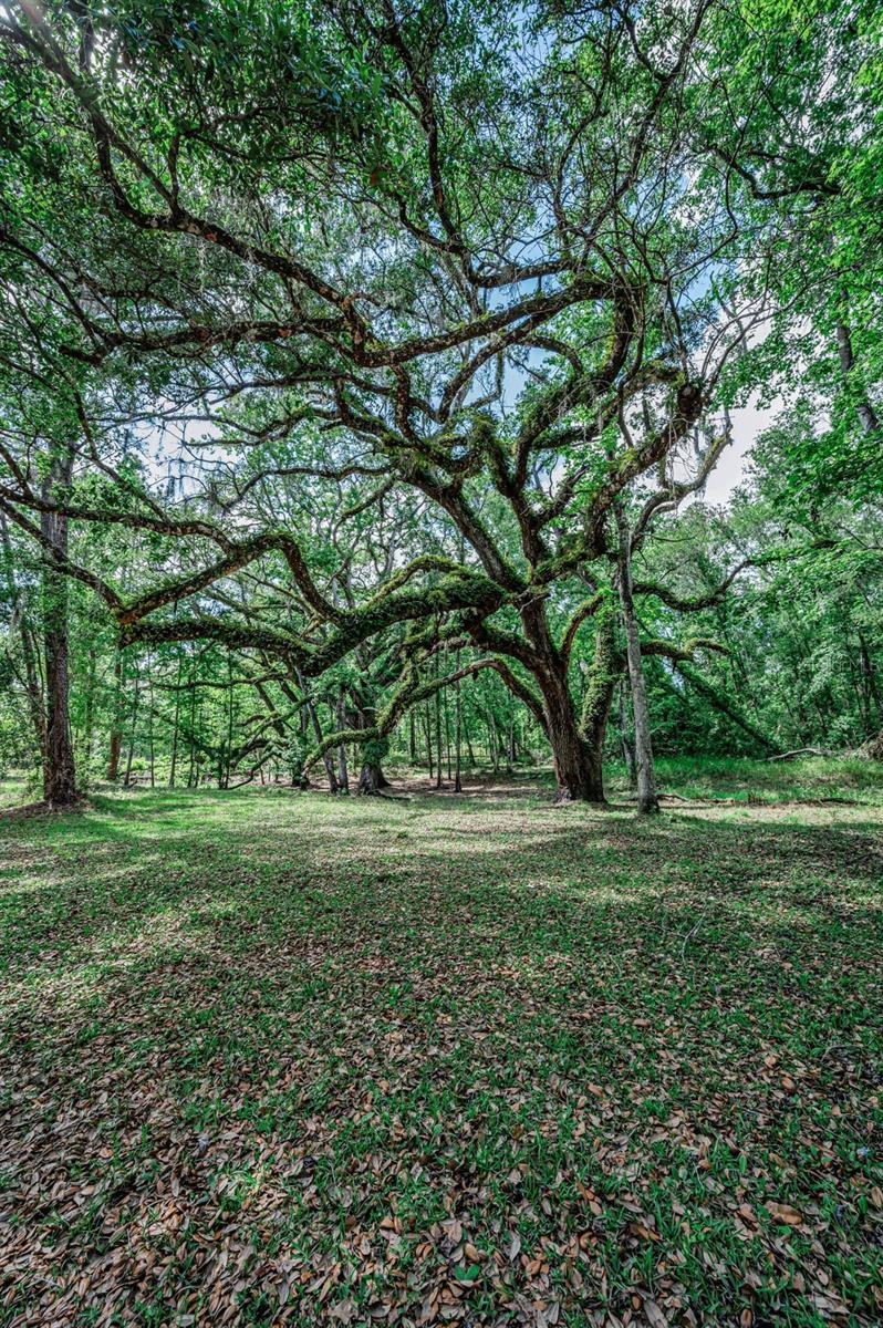 4130 RACERS WAY, BROOKSVILLE, FL, 34604