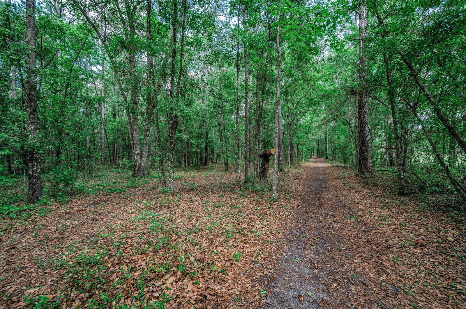 4130 RACERS WAY, BROOKSVILLE, FL, 34604