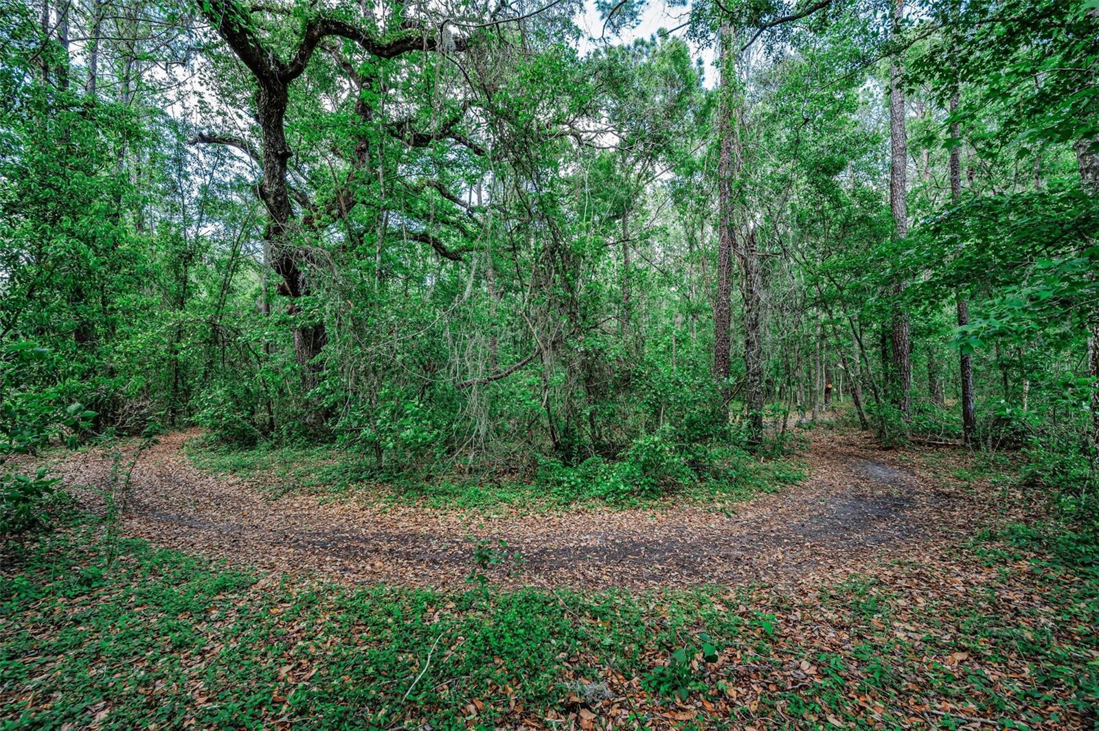 4130 RACERS WAY, BROOKSVILLE, FL, 34604