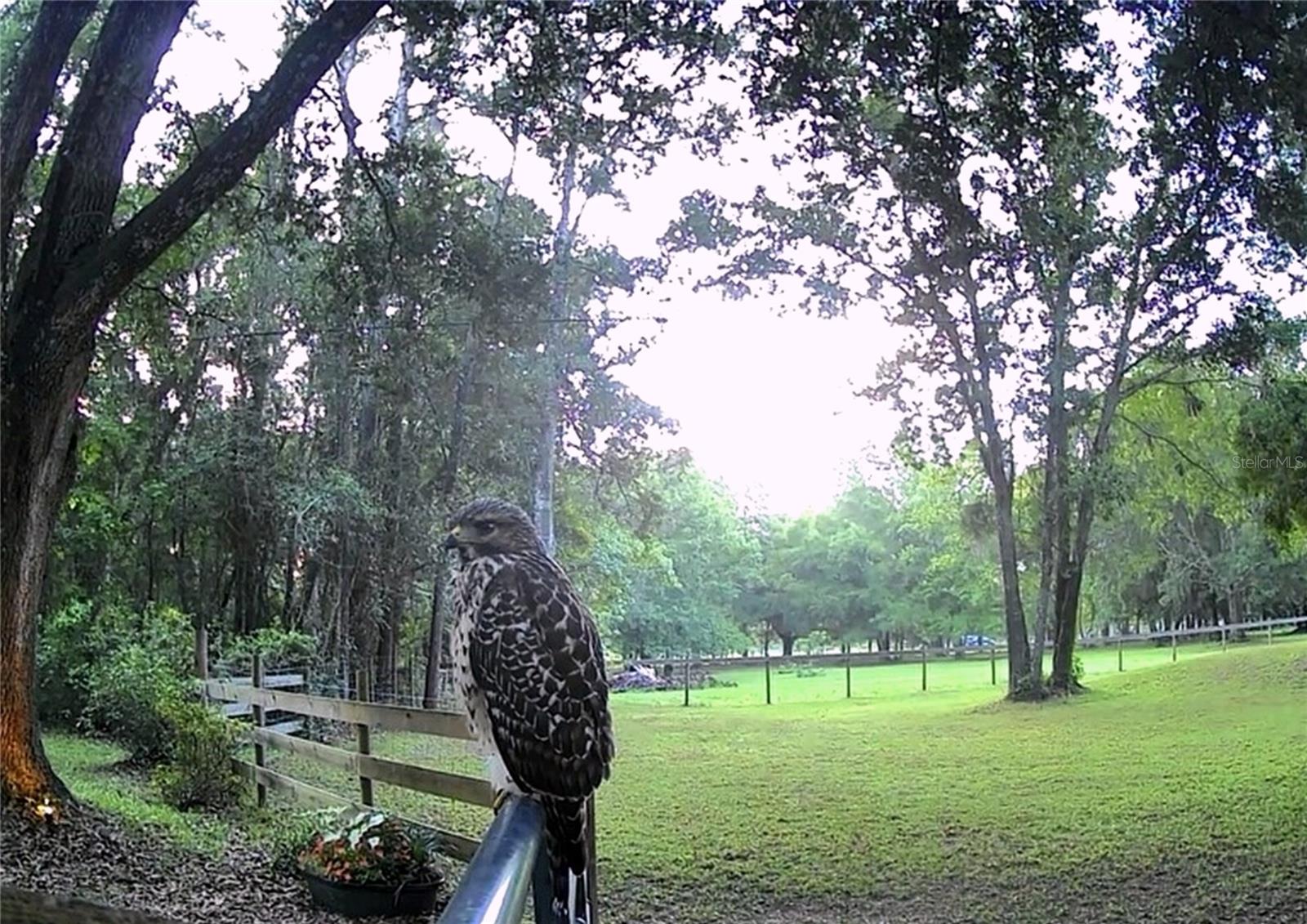 4130 RACERS WAY, BROOKSVILLE, FL, 34604