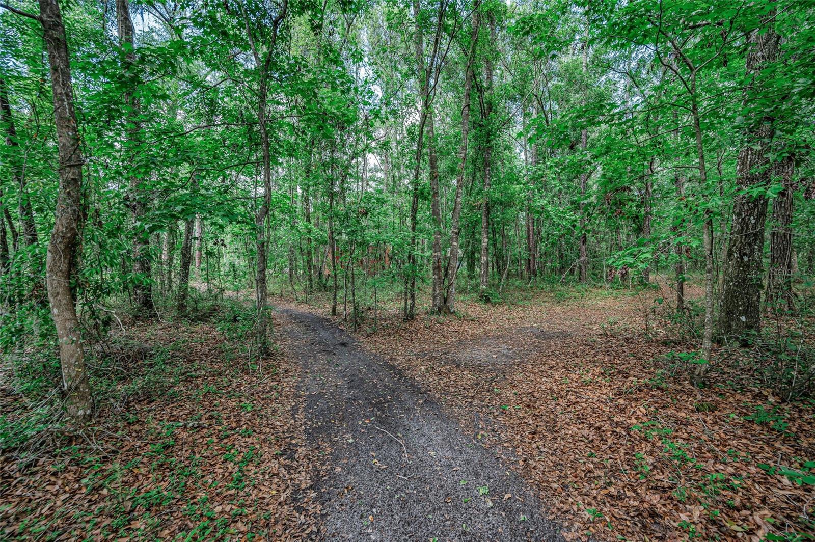 4130 RACERS WAY, BROOKSVILLE, FL, 34604