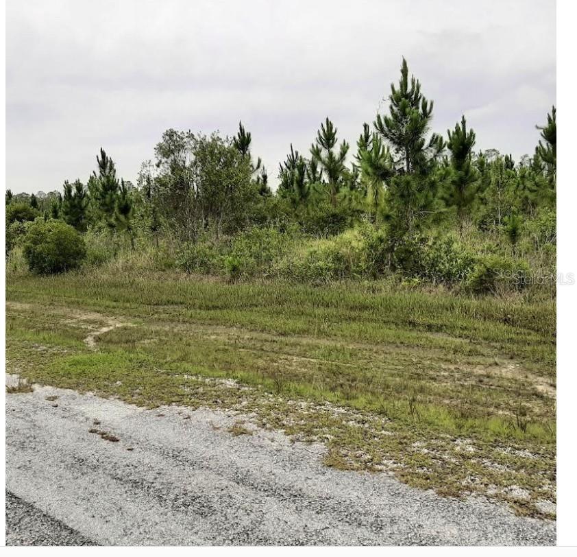 CALLIANDRA DR, INDIAN LAKE ESTATES, FL, 33855