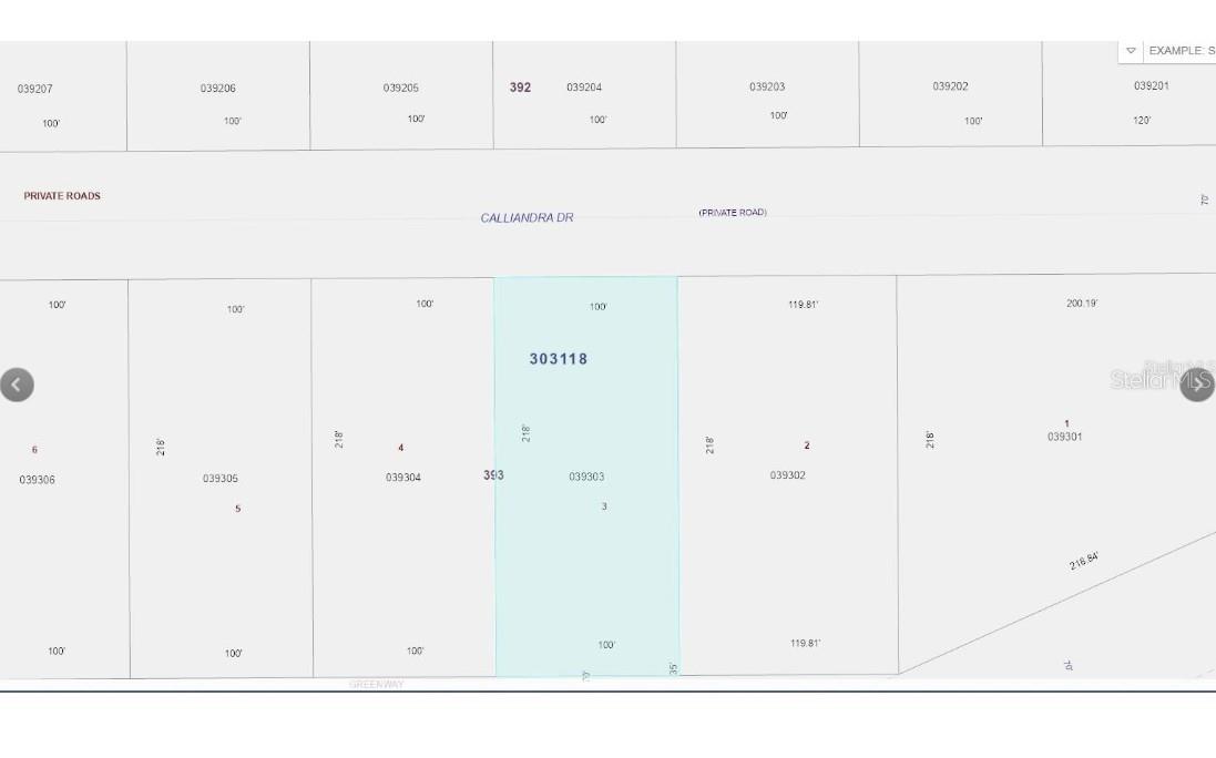 CALLIANDRA DR, INDIAN LAKE ESTATES, FL, 33855