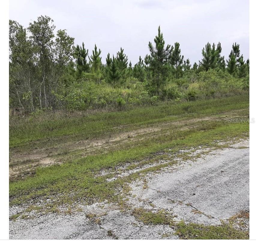 CALLIANDRA DR, INDIAN LAKE ESTATES, FL, 33855