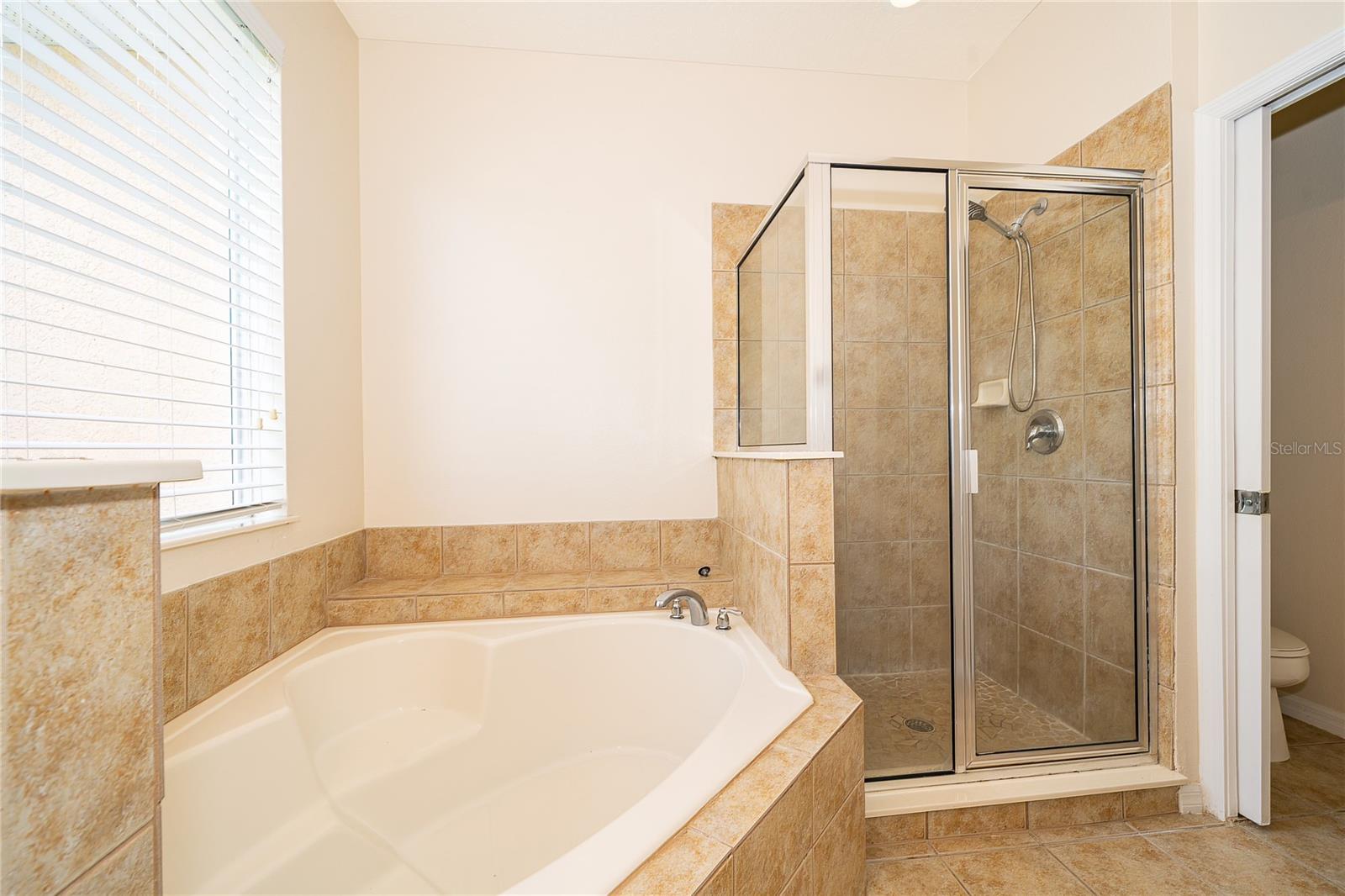 1412 SPRING FEST LN, ORLANDO, FL, 32828