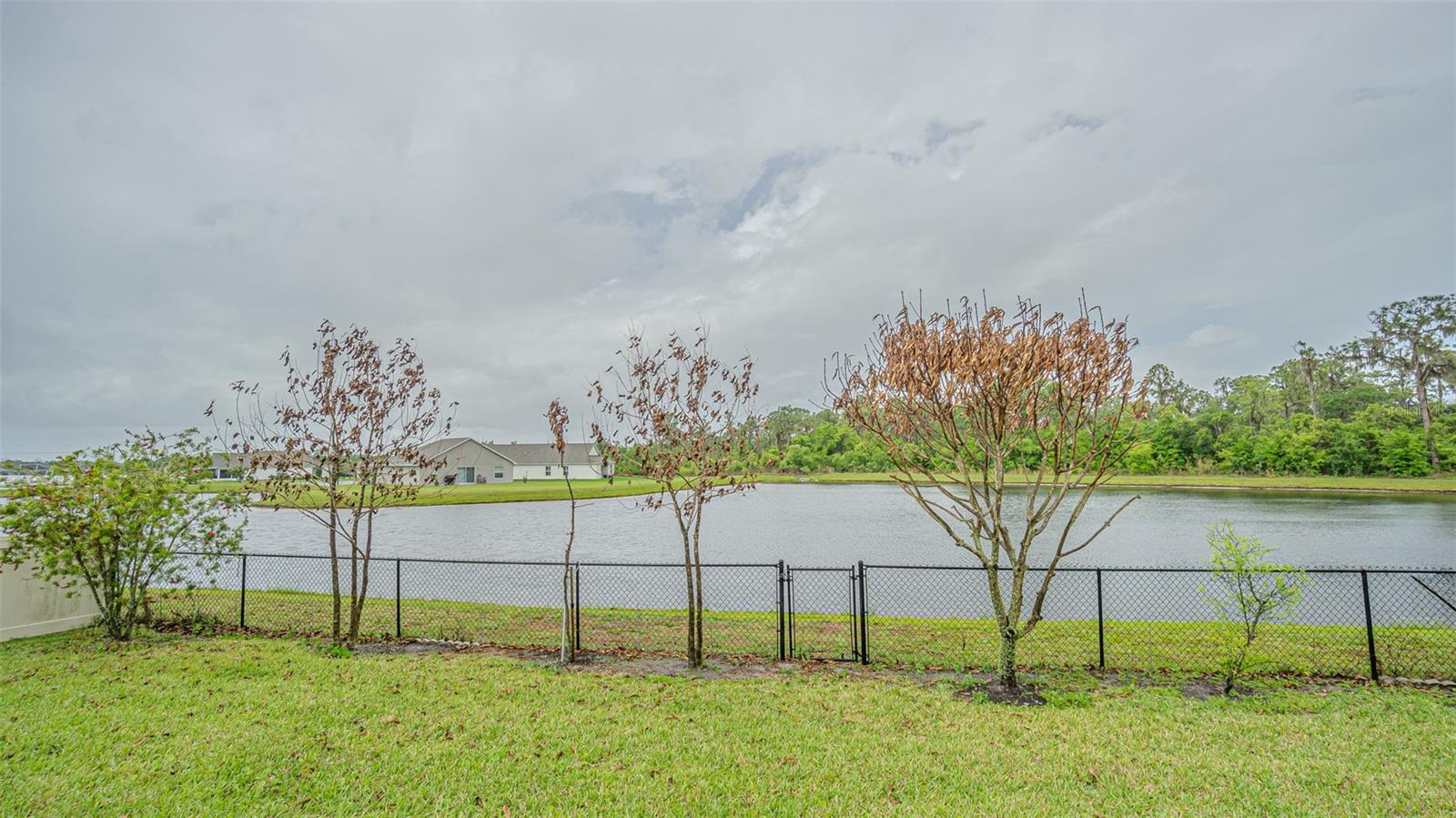 1311 EVERGREEN PARK CIR, LAKELAND, FL, 33813