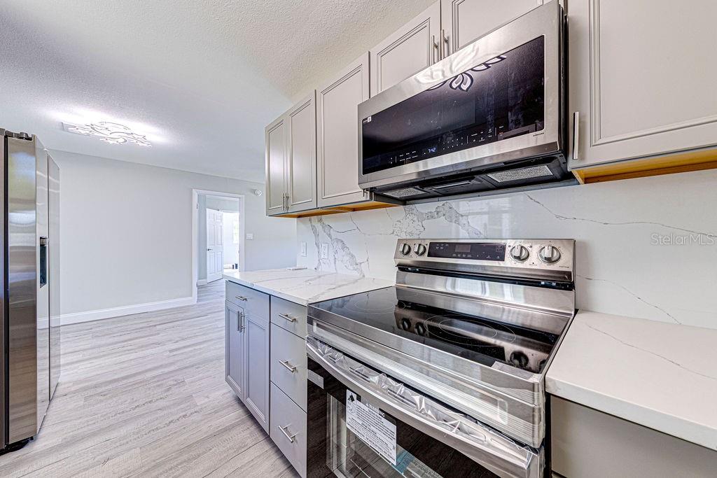 1133 HERMIT SMITH RD, APOPKA, FL, 32712